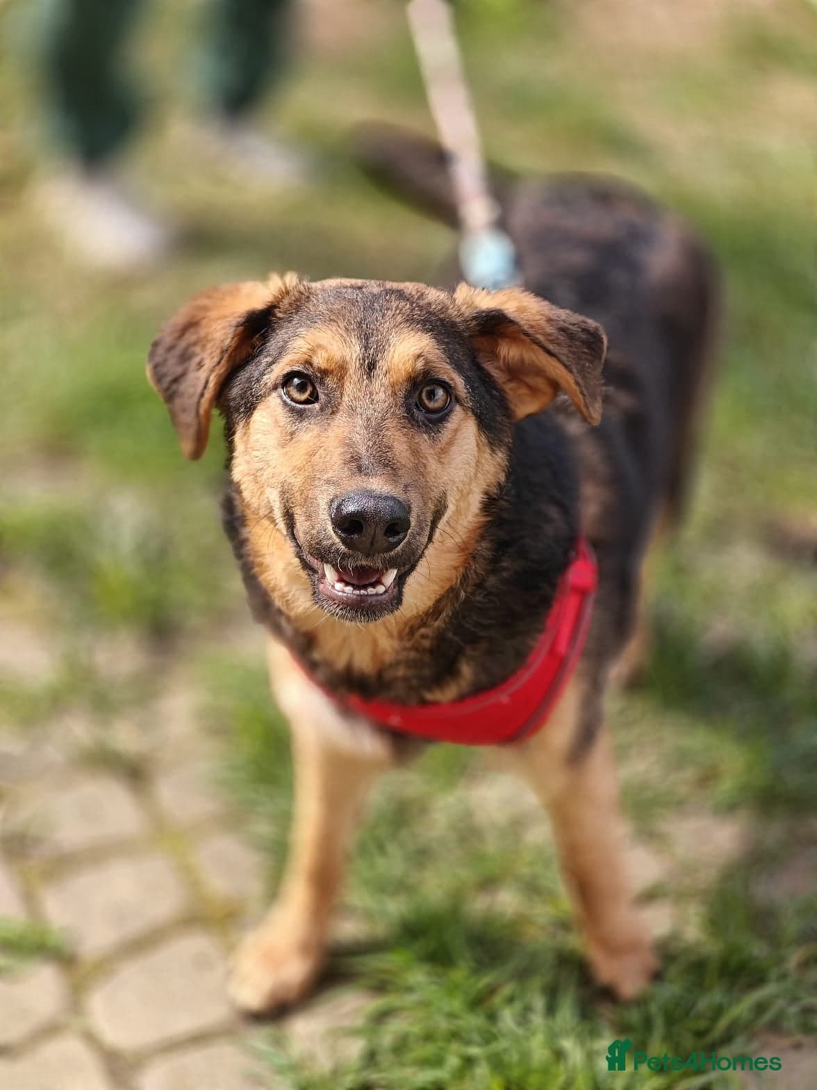 ๏ธ๐ถ yasia photo 11