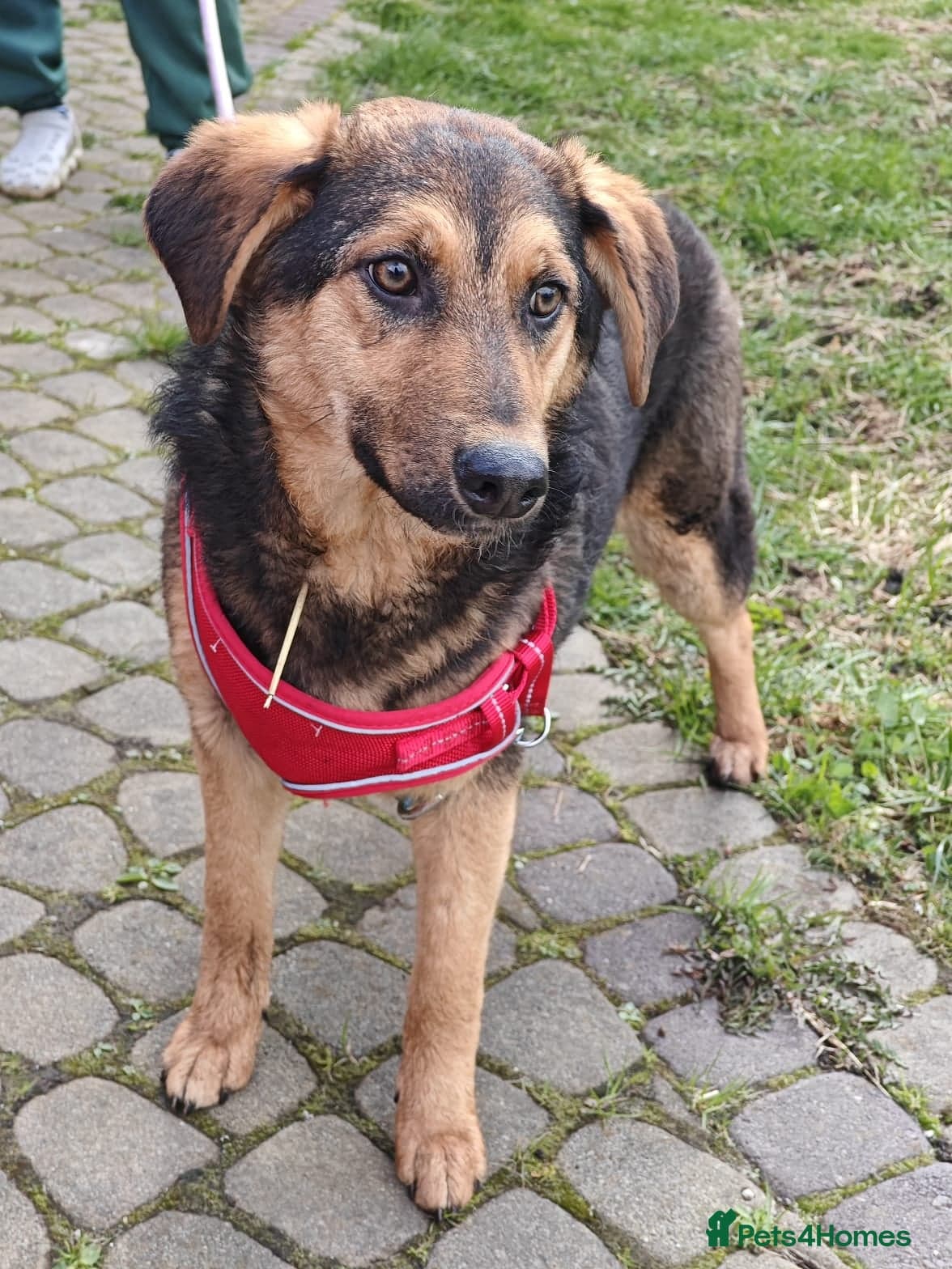 ๏ธ๐ถ yasia photo 19