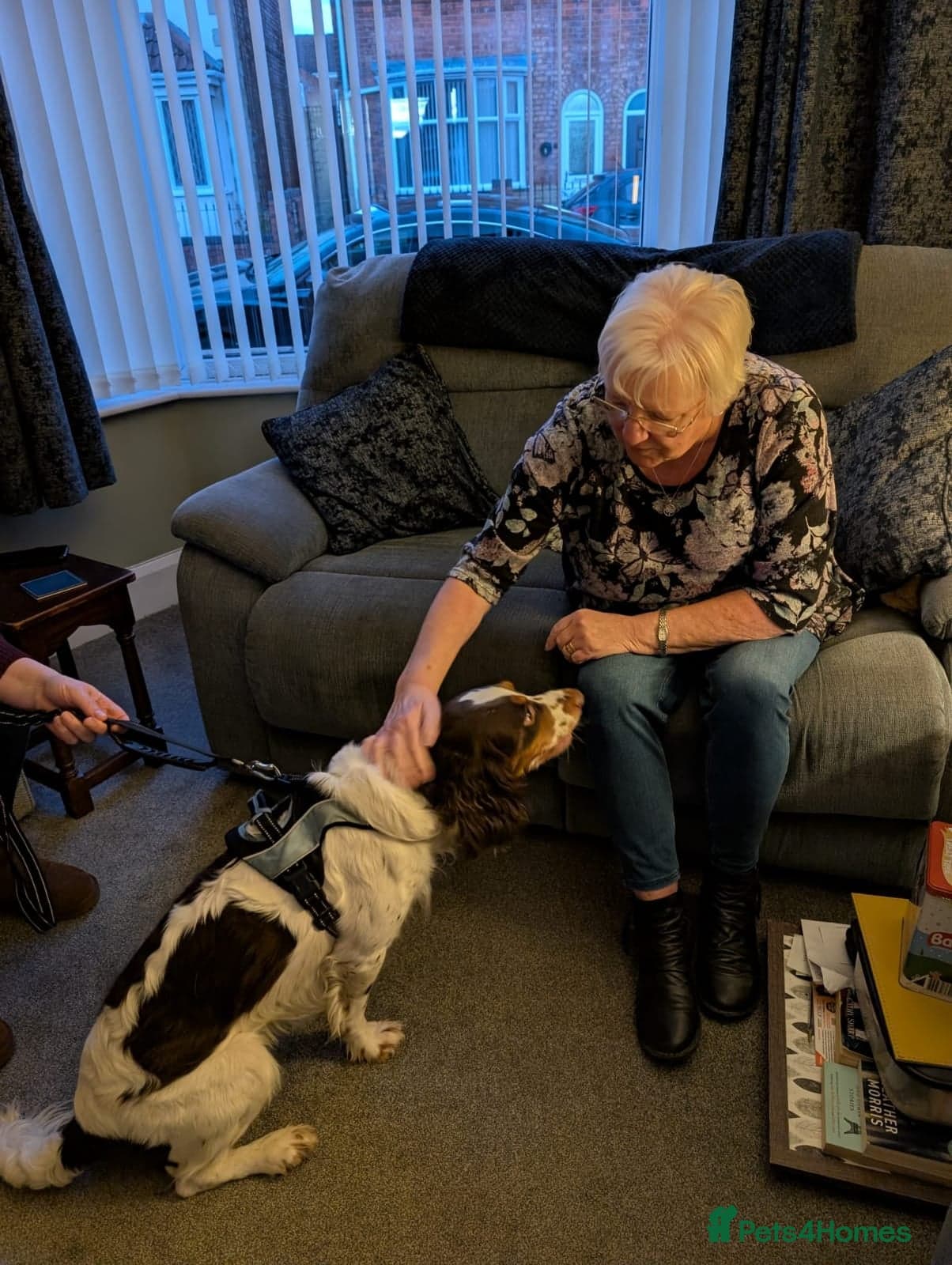 Tommy💙all heart, all energy, photo 4