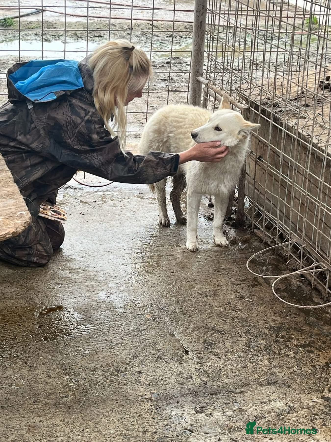 Song - Norwich Norfolk photo 7