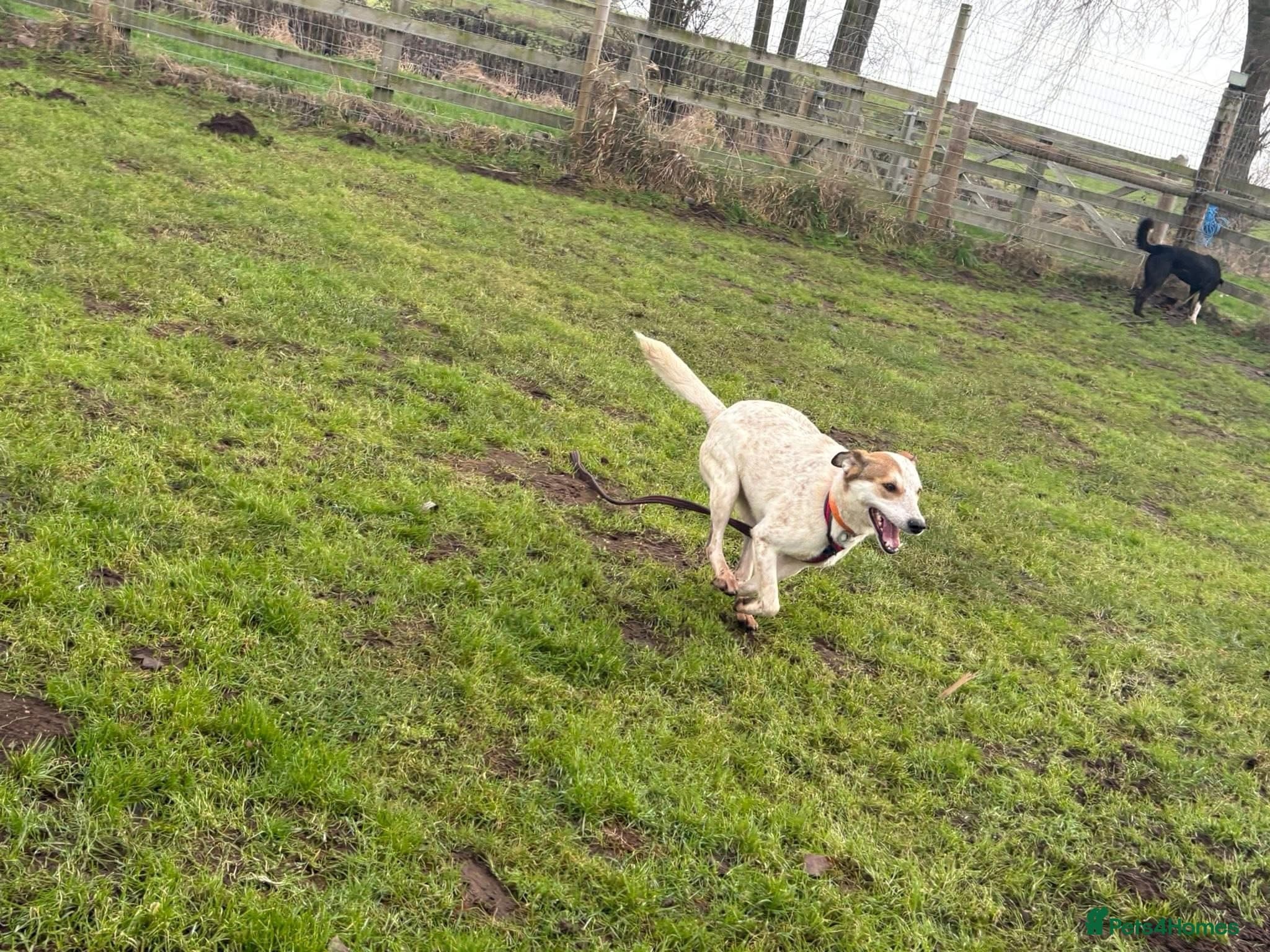 Trinity - Norwich Norfolk photo 16