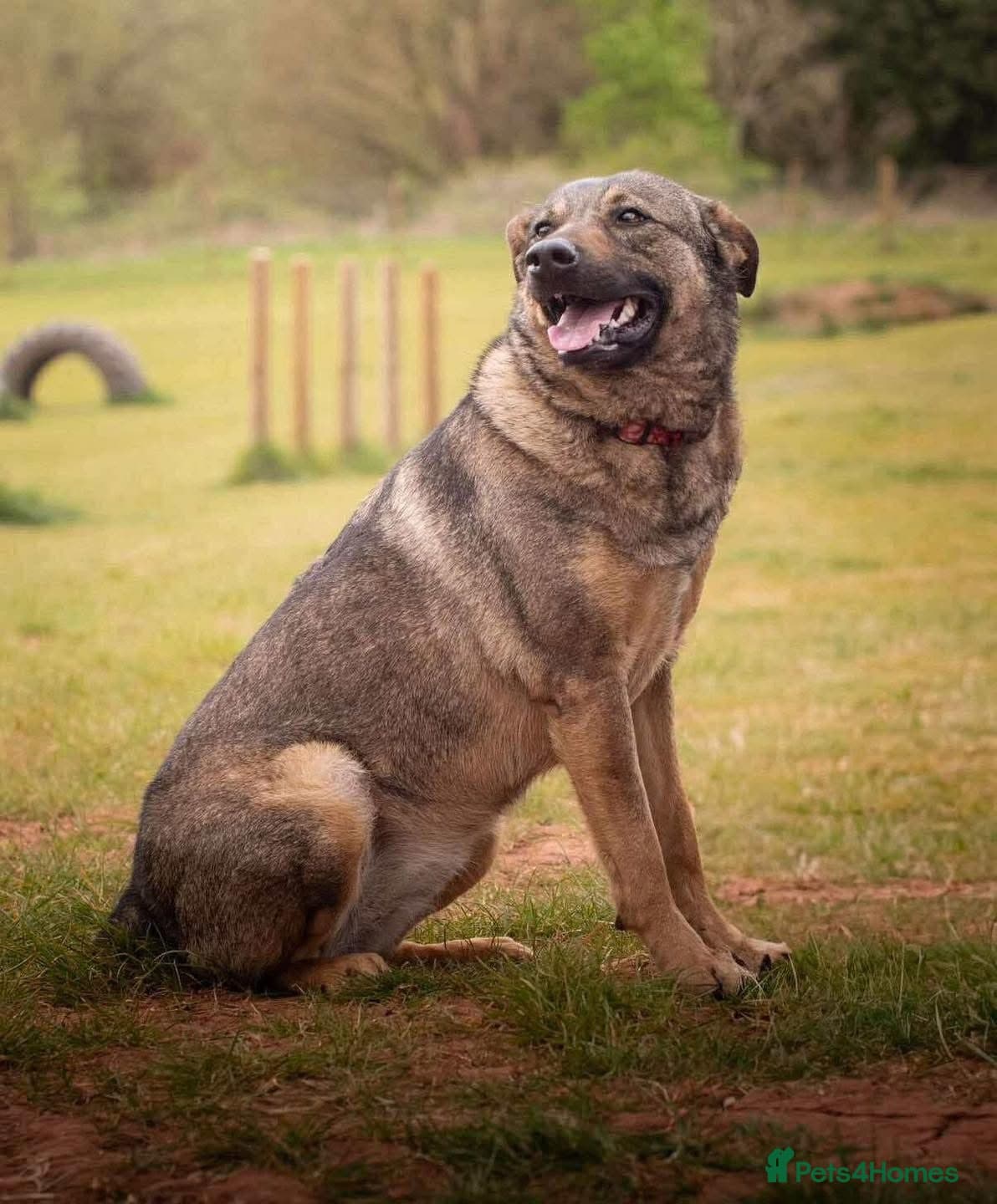 Luna ๐พ๐ photo 20