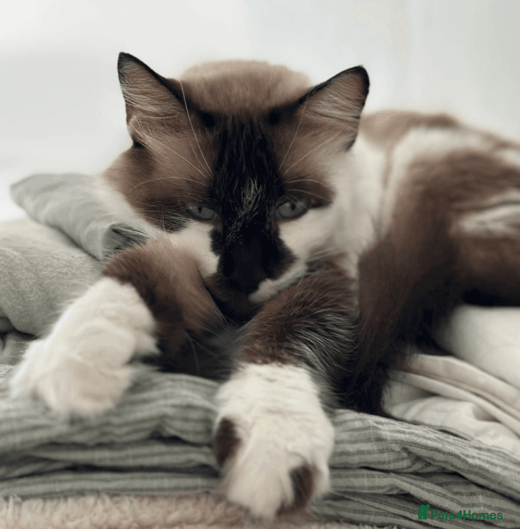 Stunning Lucia: photo 3