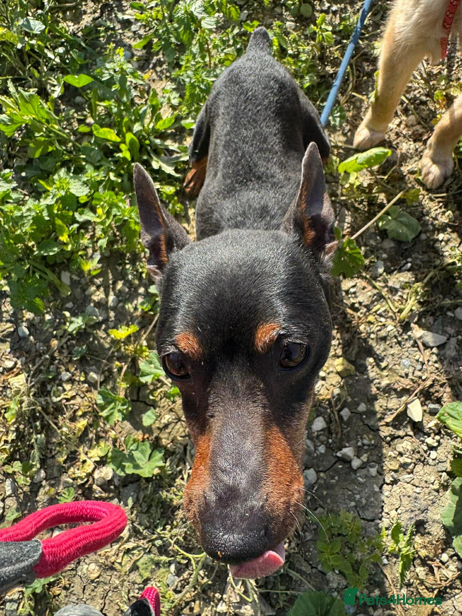 Benetton, a cuddlebug photo 13