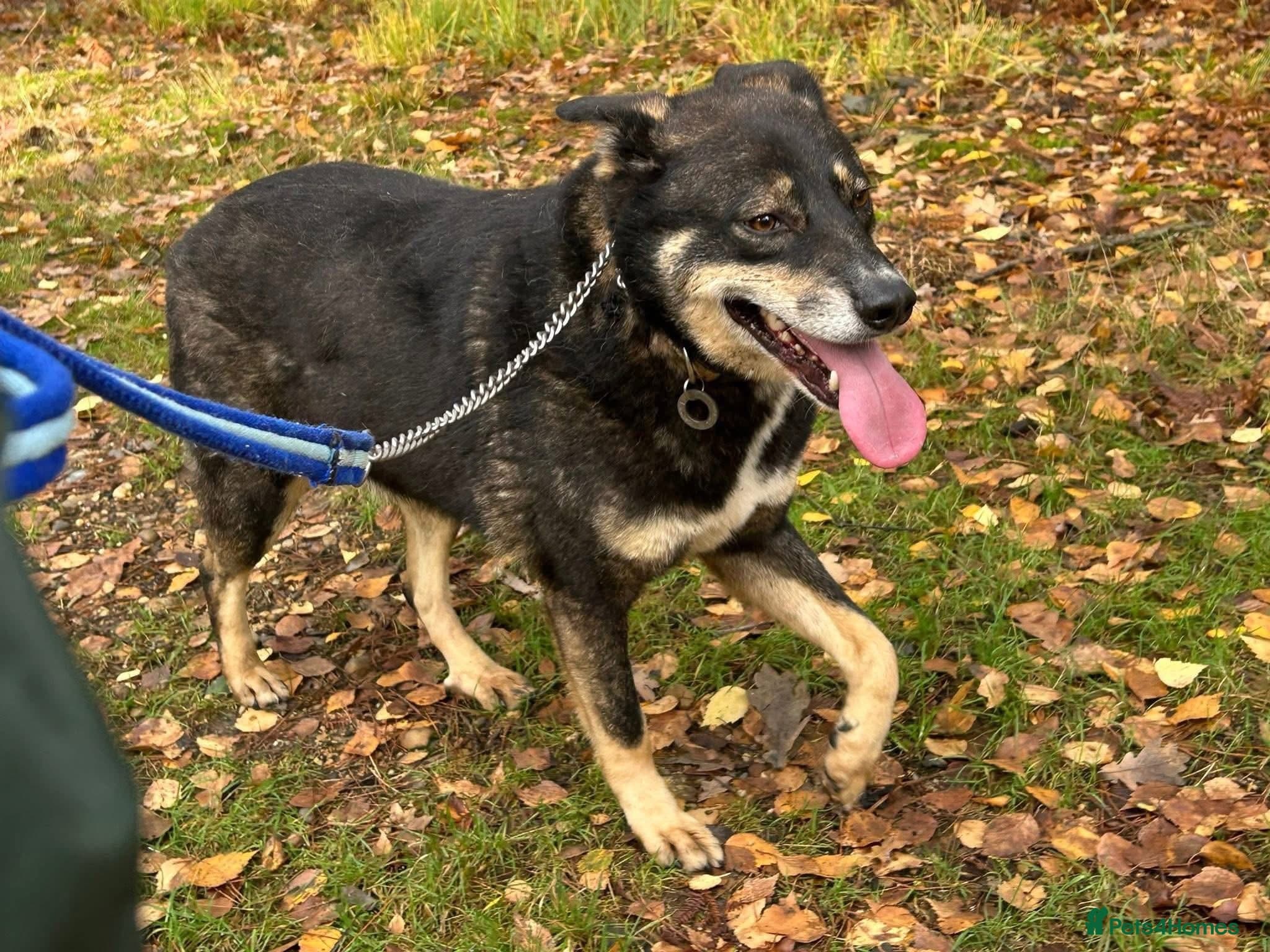 Ben - Norwich Norfolk photo 7