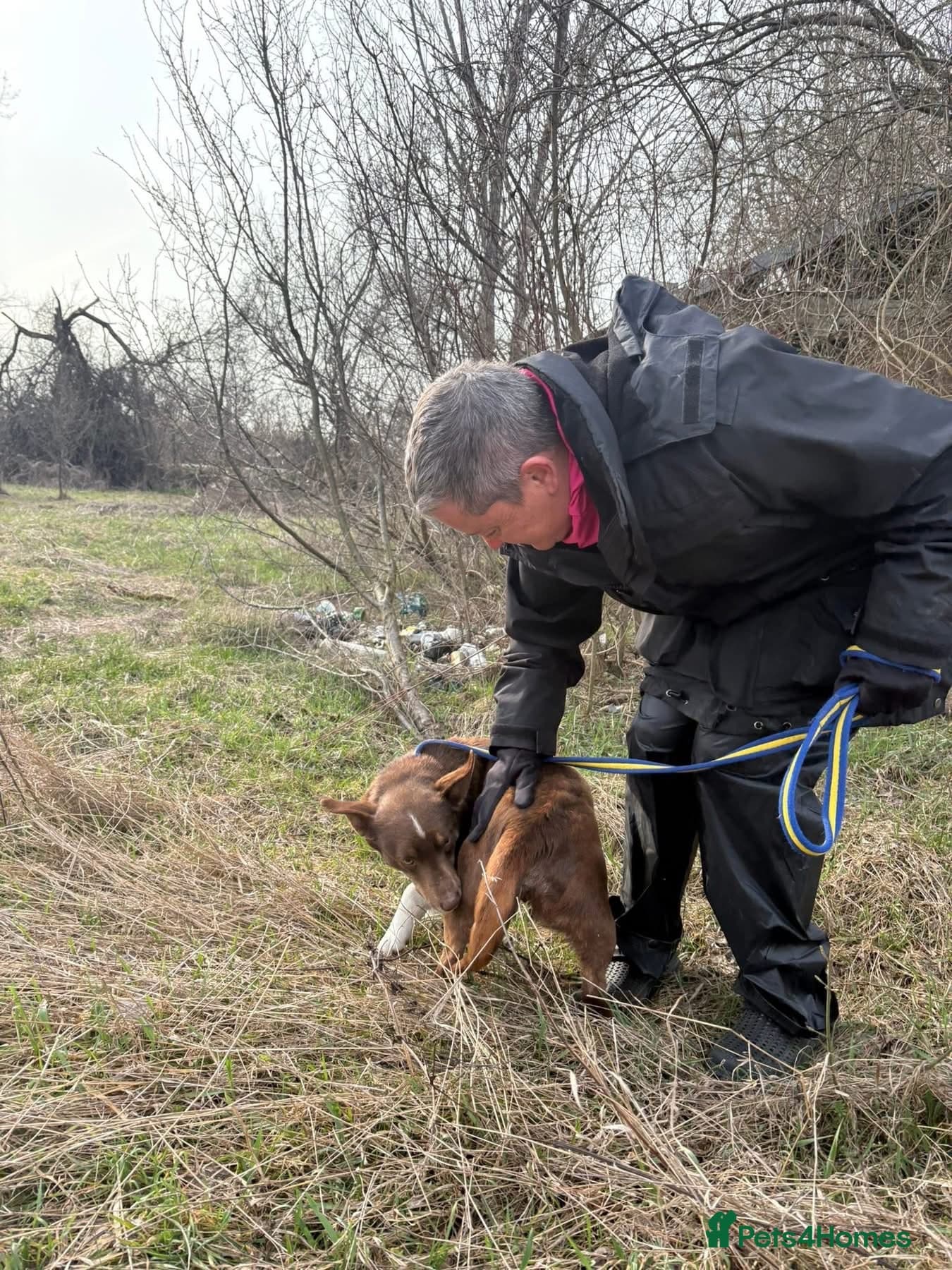 India - Norwich Norfolk photo 13