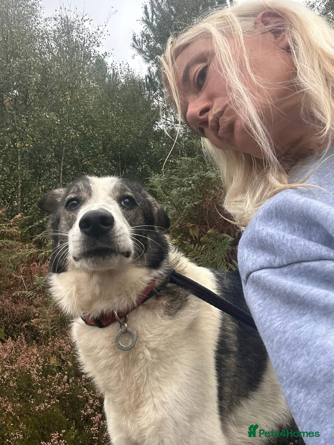 Matteo - Norwich Norfolk photo 16