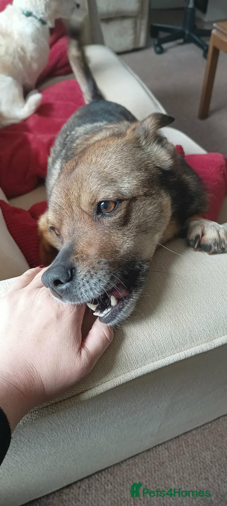 Erica - Norwich Norfolk photo 7