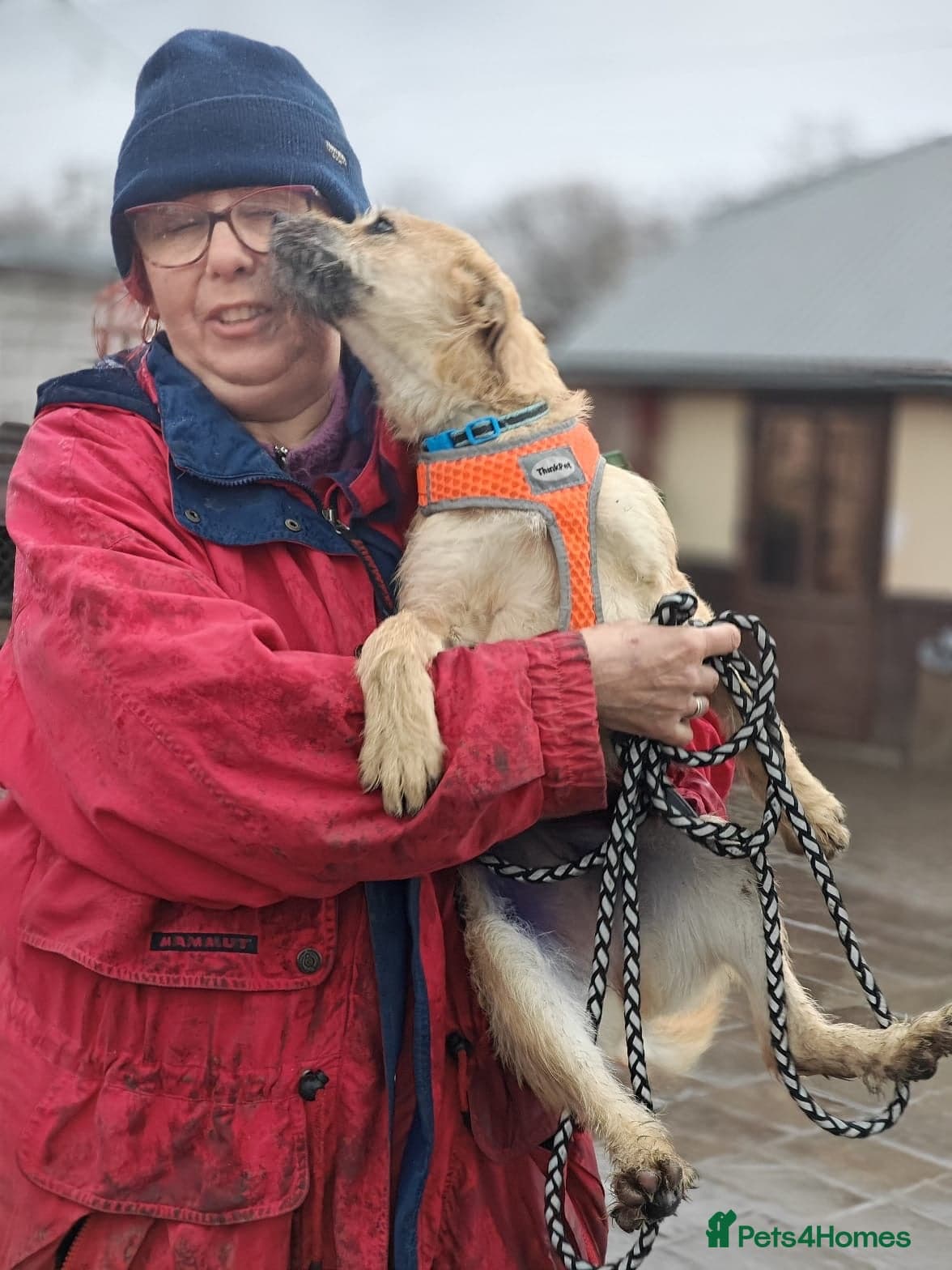 ๏ธ๐ถ bekki photo 12