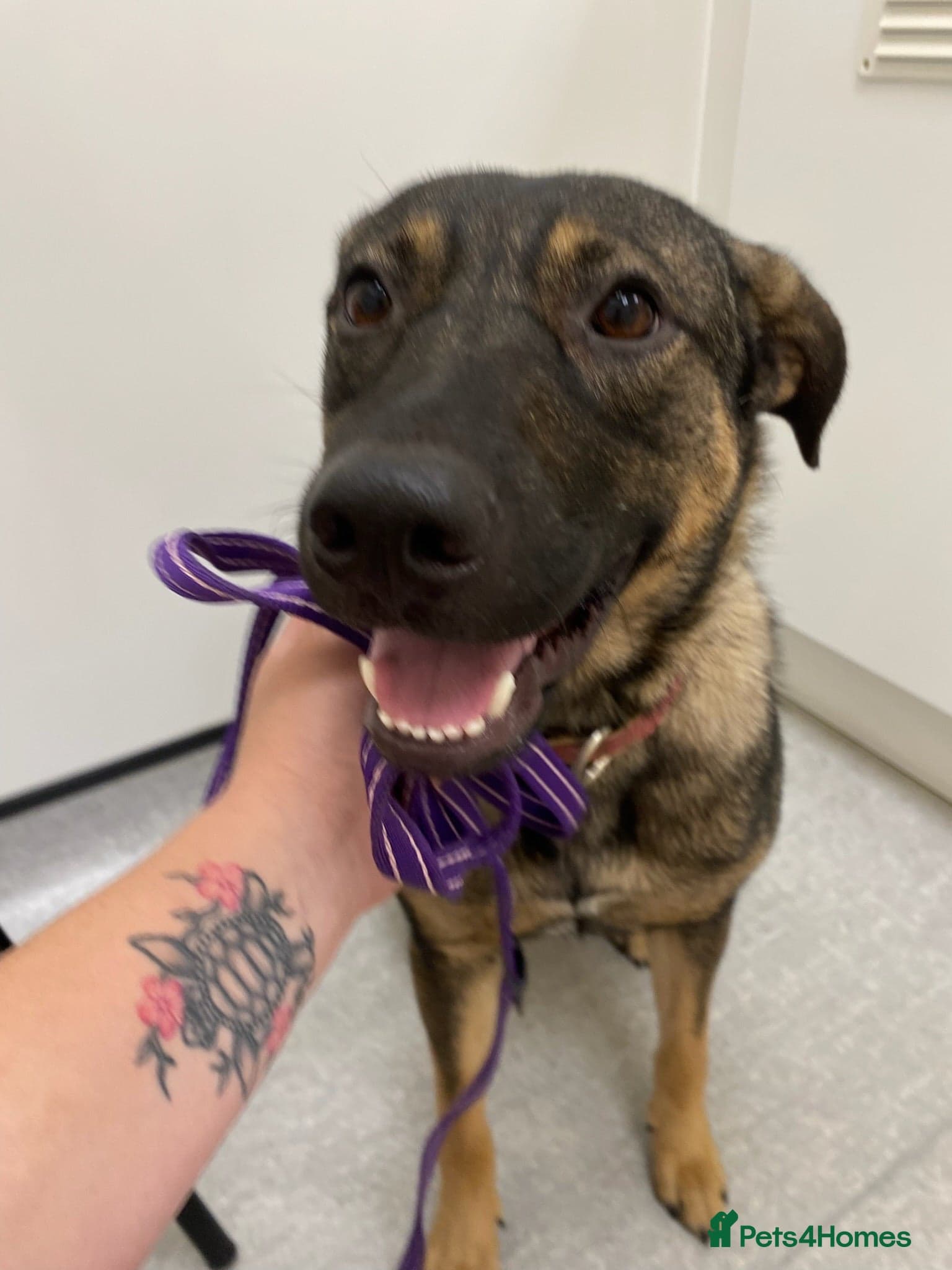 Luna ๐พ๐ photo 11