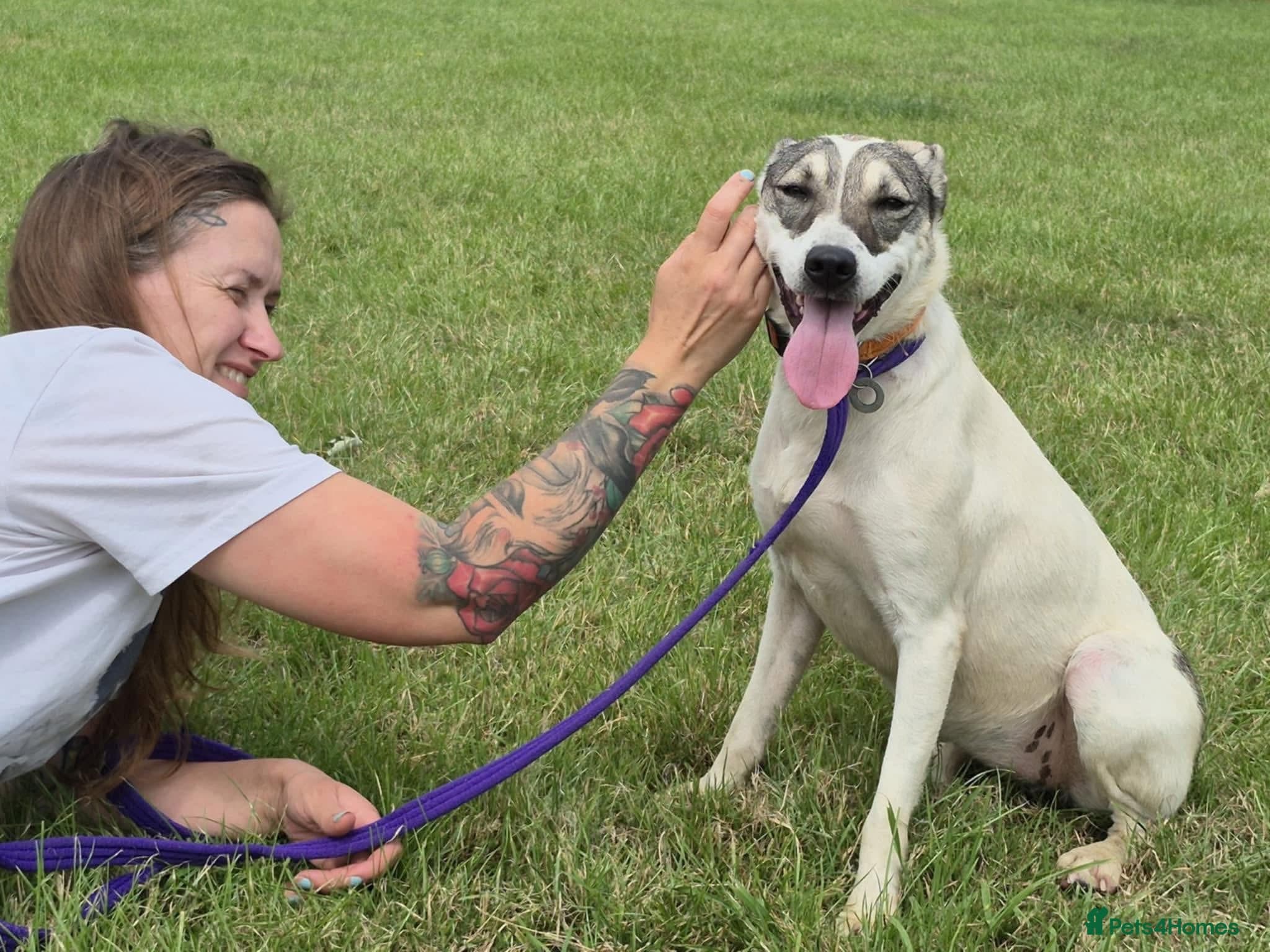 Lotty (2) Norwich Norfolk photo 17