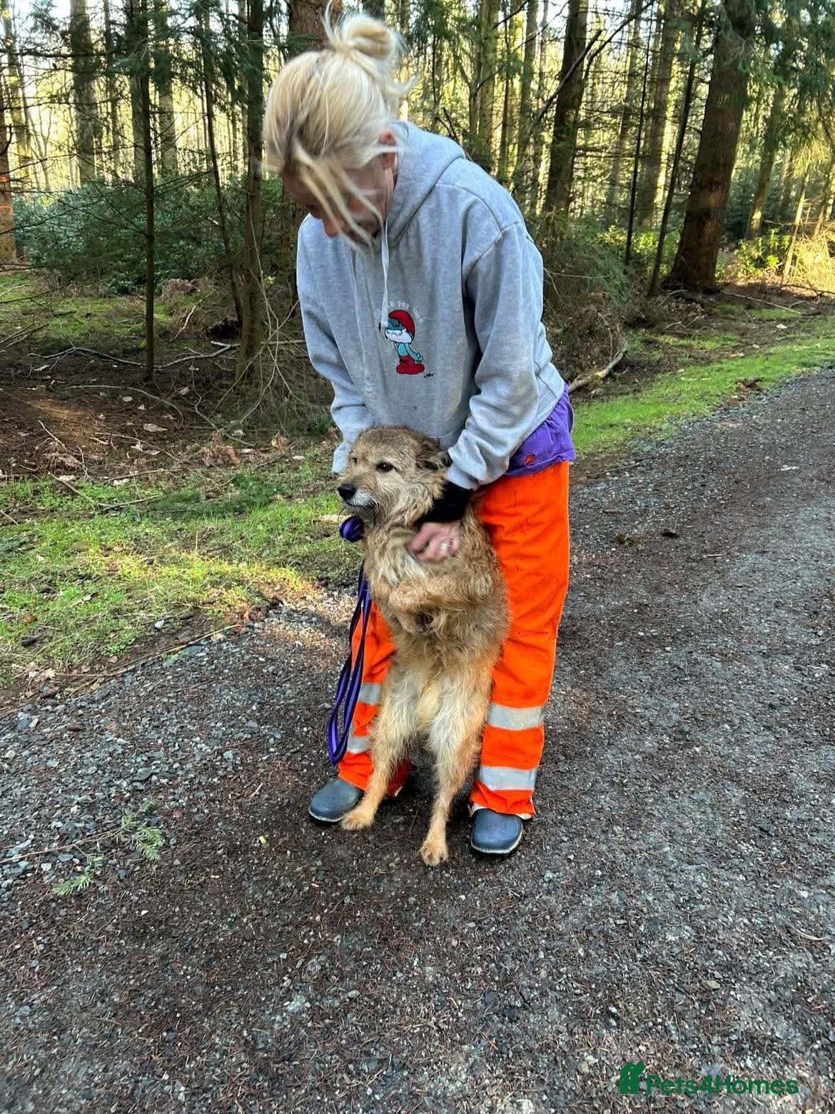 Jack - Watton Norfolk photo 15