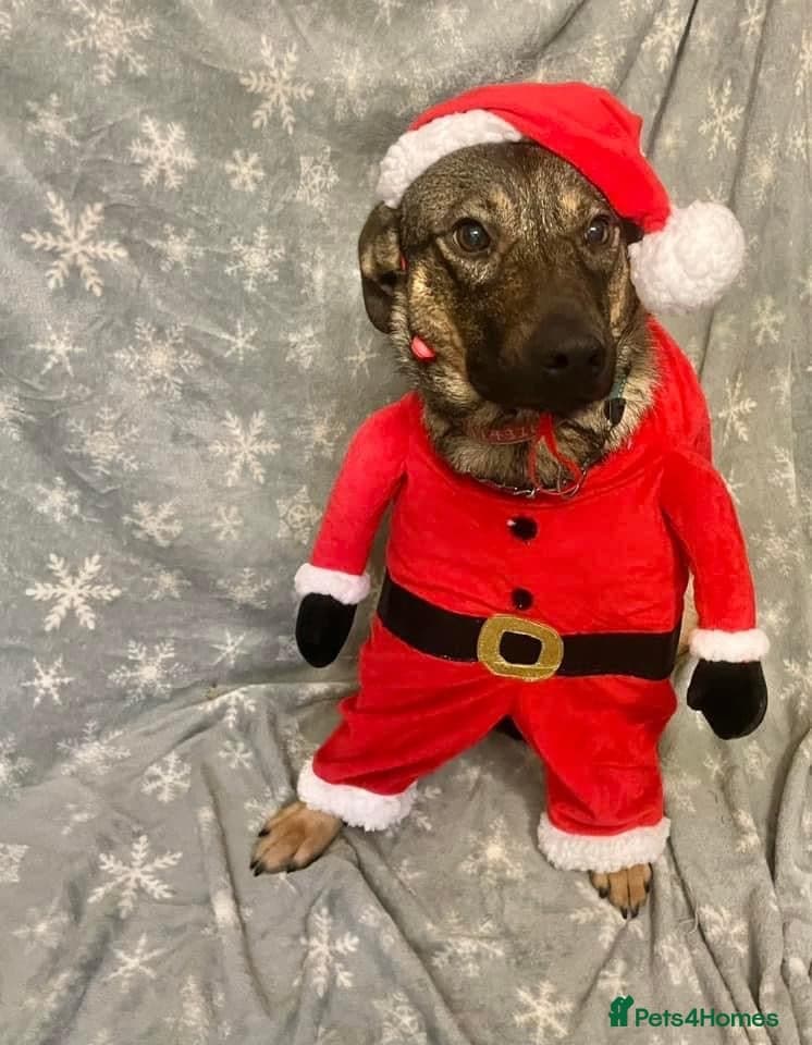 Luna ๐พ๐ photo 6