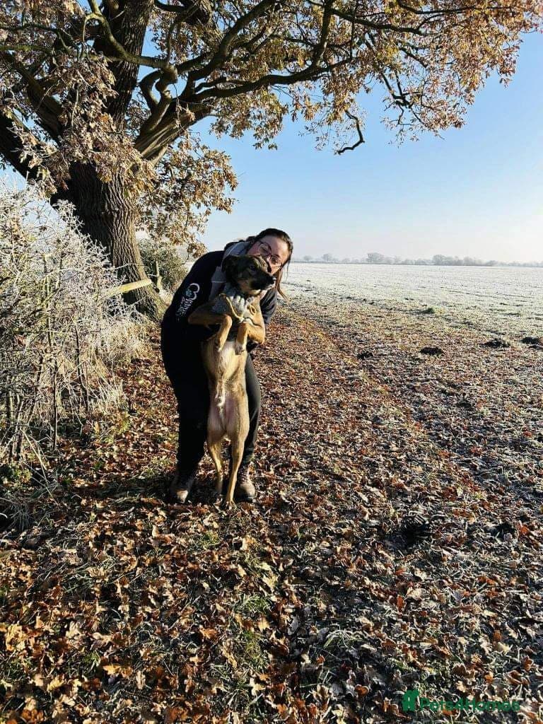 Meet Jake, currently residing in Cheshire photo 8