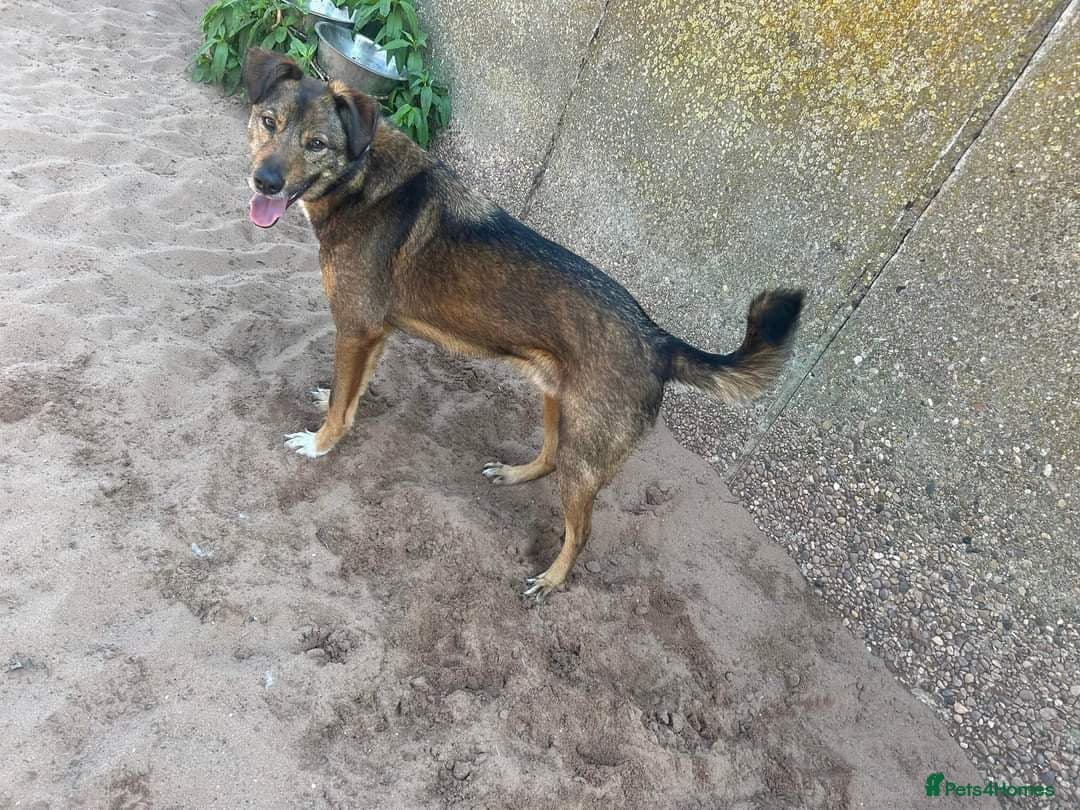 Meet Jake, currently residing in Cheshire photo 27