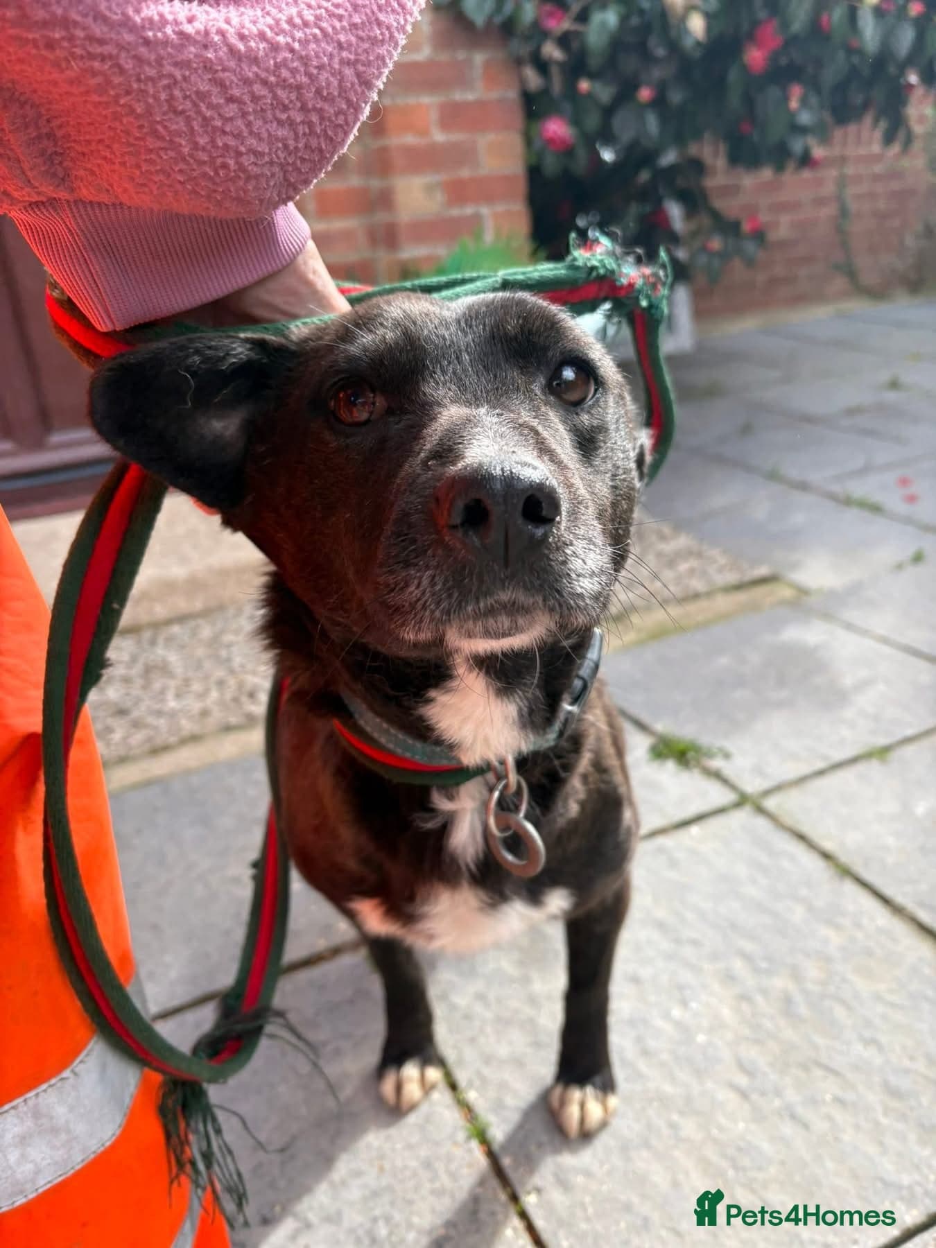 Penfold - Norwich Norfolk photo 2