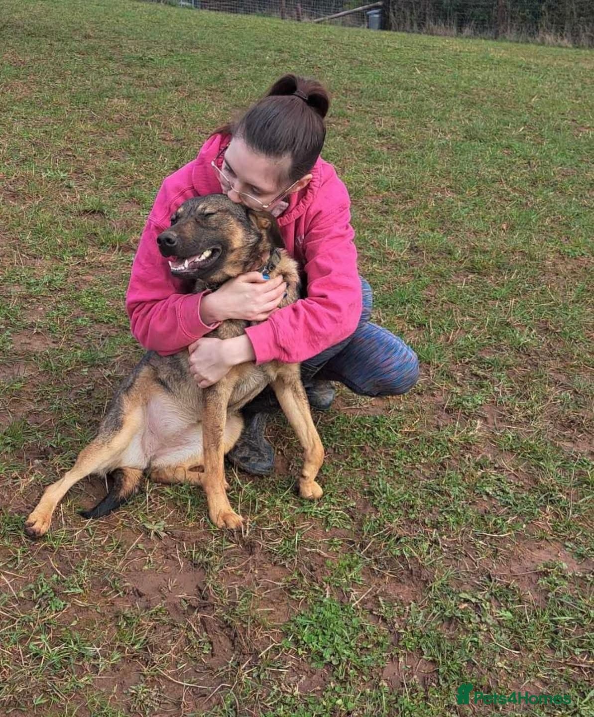 Luna ๐พ๐ photo 25