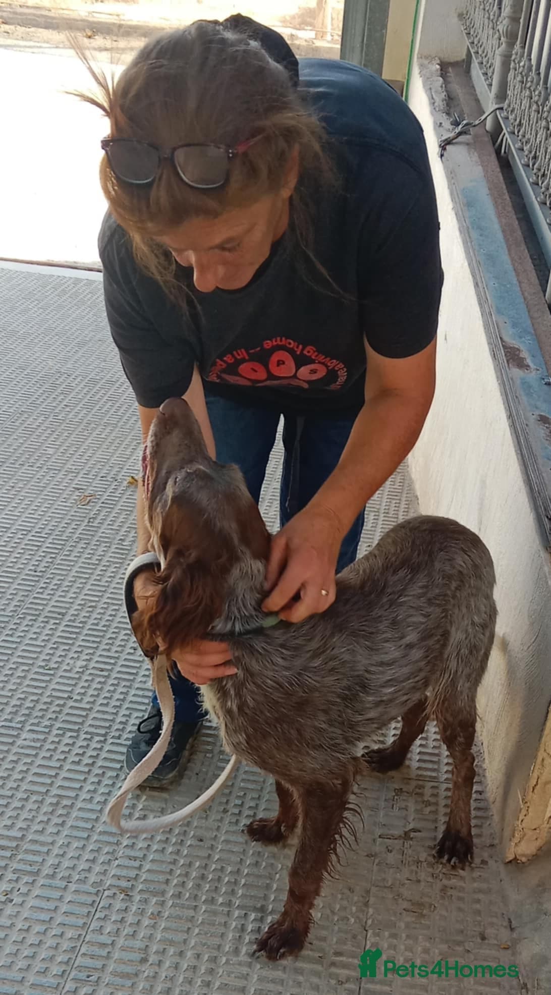 Koko (currently in Cheshire Foster) photo 2