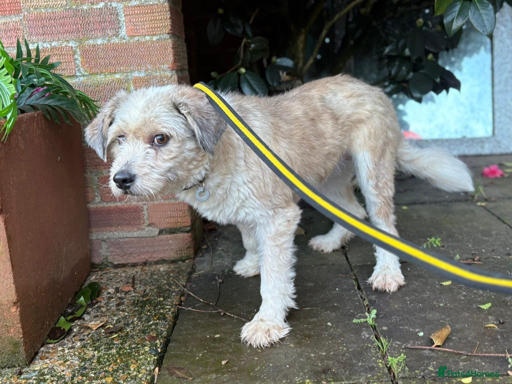 Kim - Norwich Norfolk photo 10