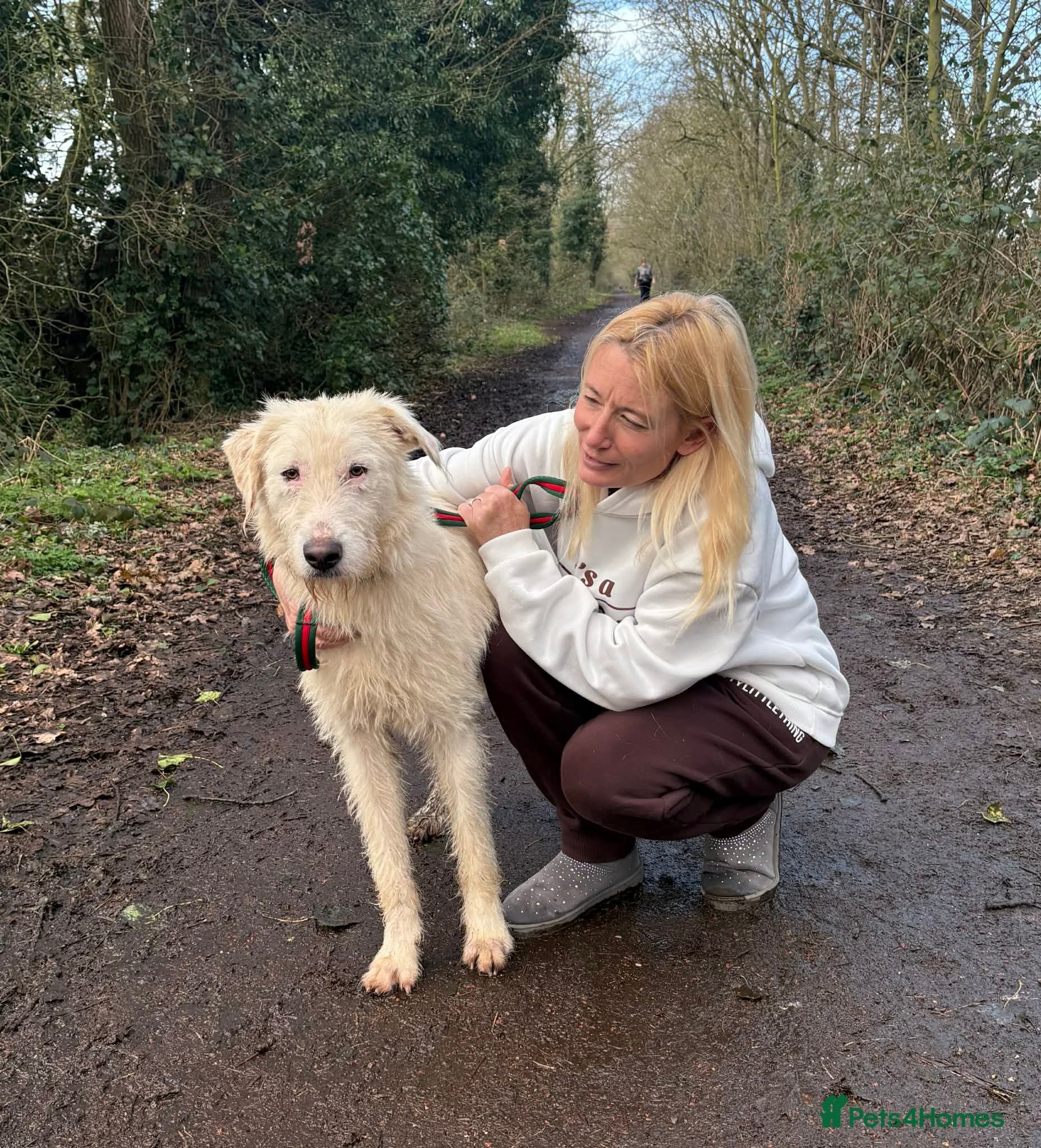 Peter - Norwich Norfolk photo 13