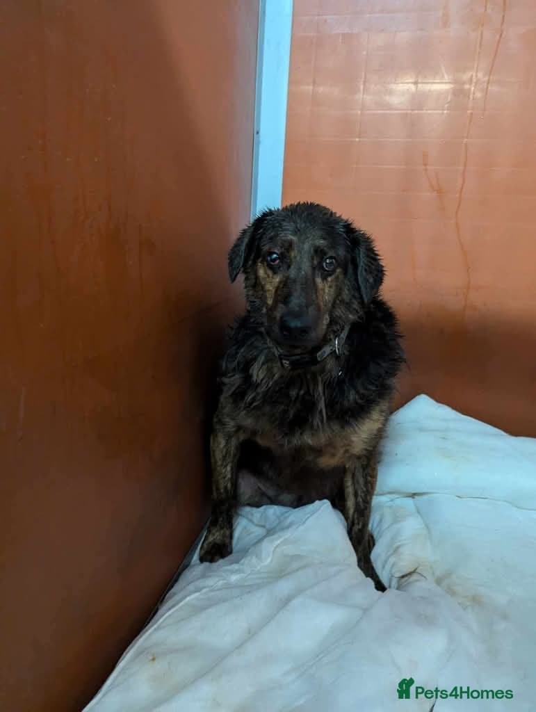 Meet Jess, currently residing in Essex photo 10