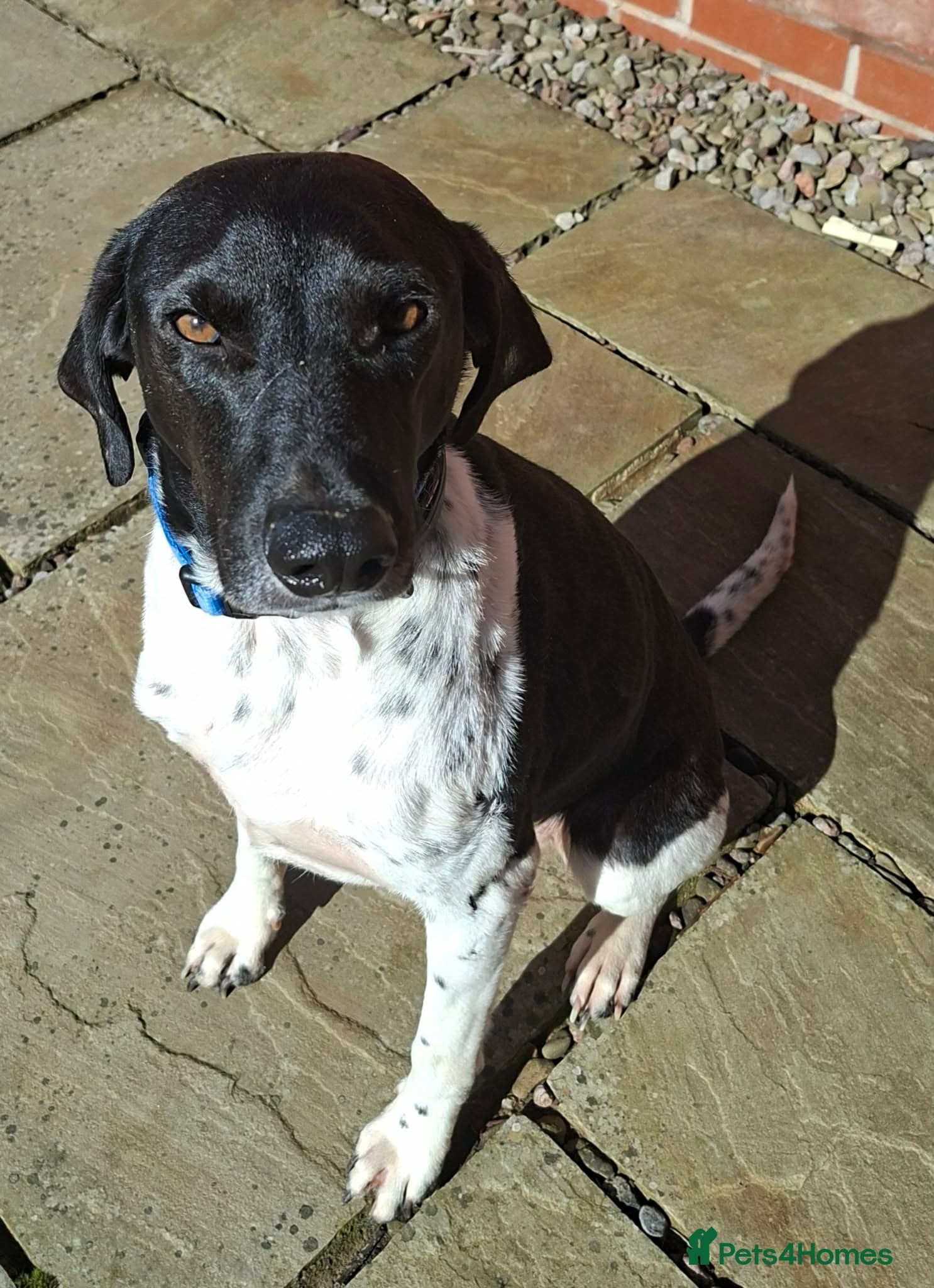 Stratos ! ❤️ a Cypriot sweetheart photo 2