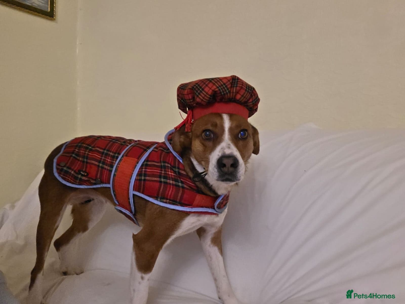 Affectionate Milli photo 7