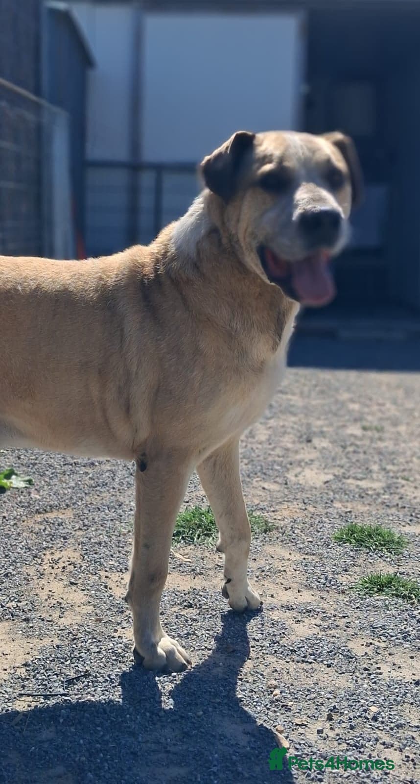 Gem ๐ ๐พ photo 6