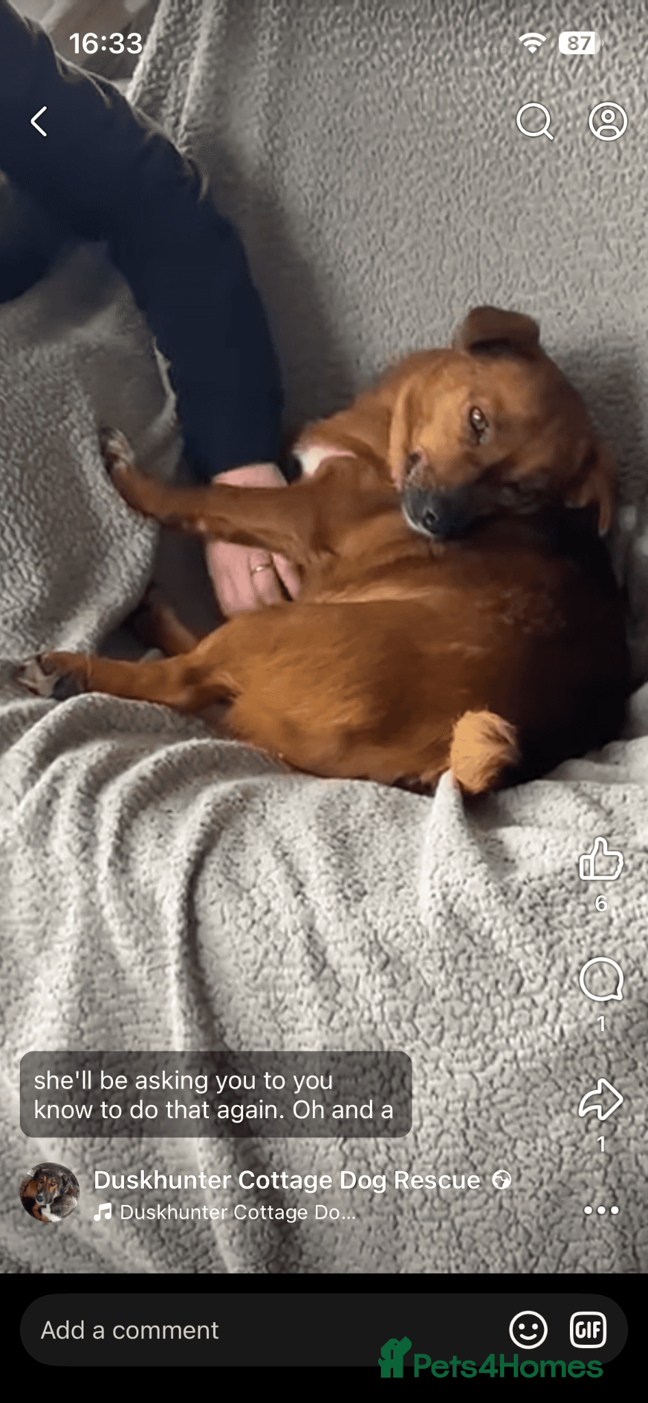 Dora the explorer photo 6