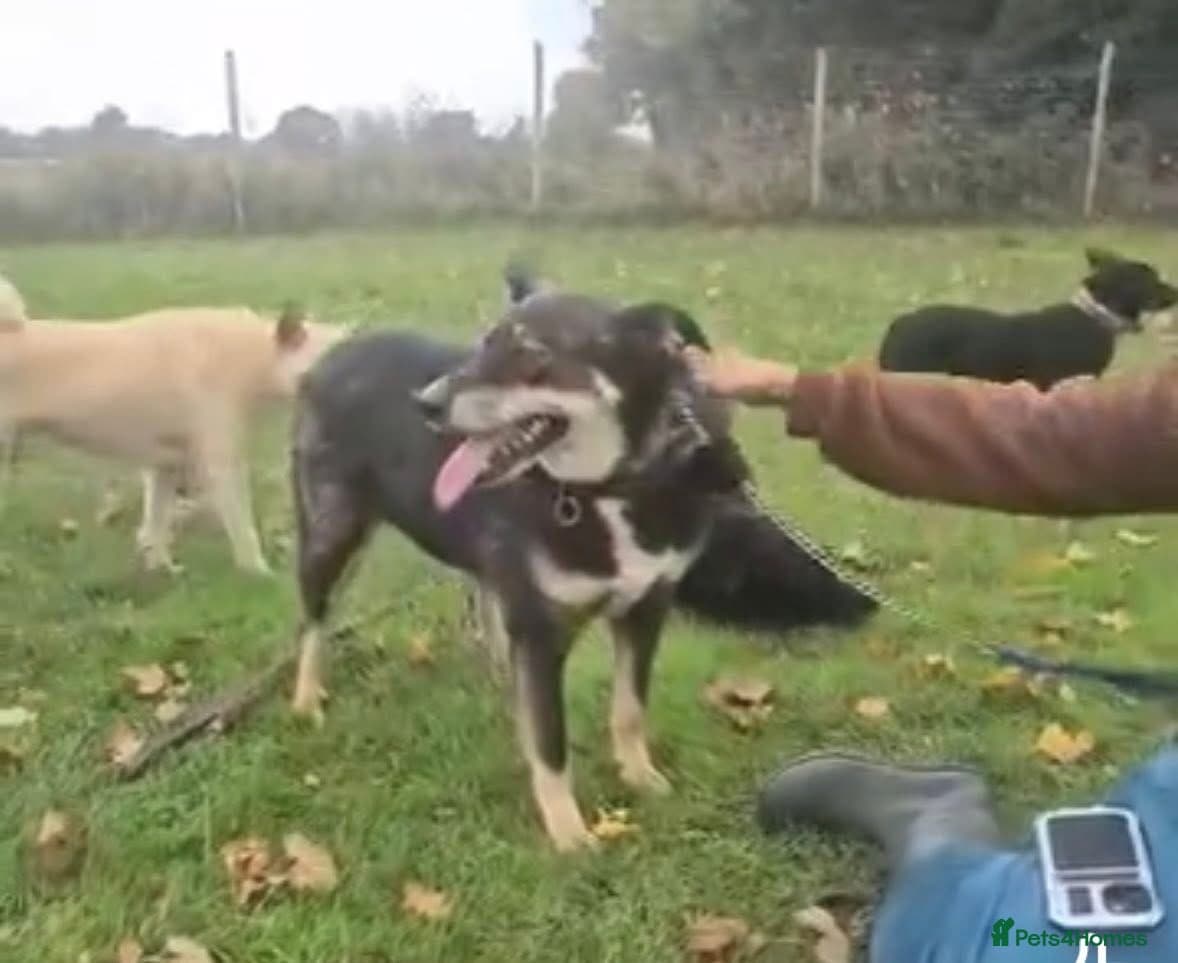 Ben - Norwich Norfolk photo 6