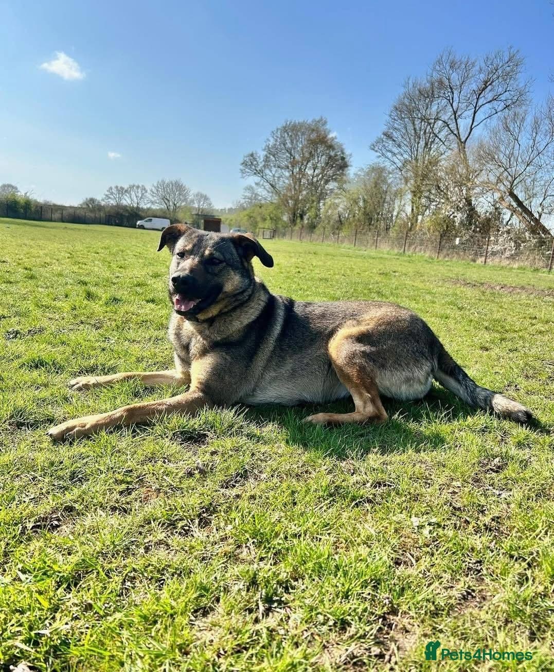 Luna ๐พ๐ photo 21