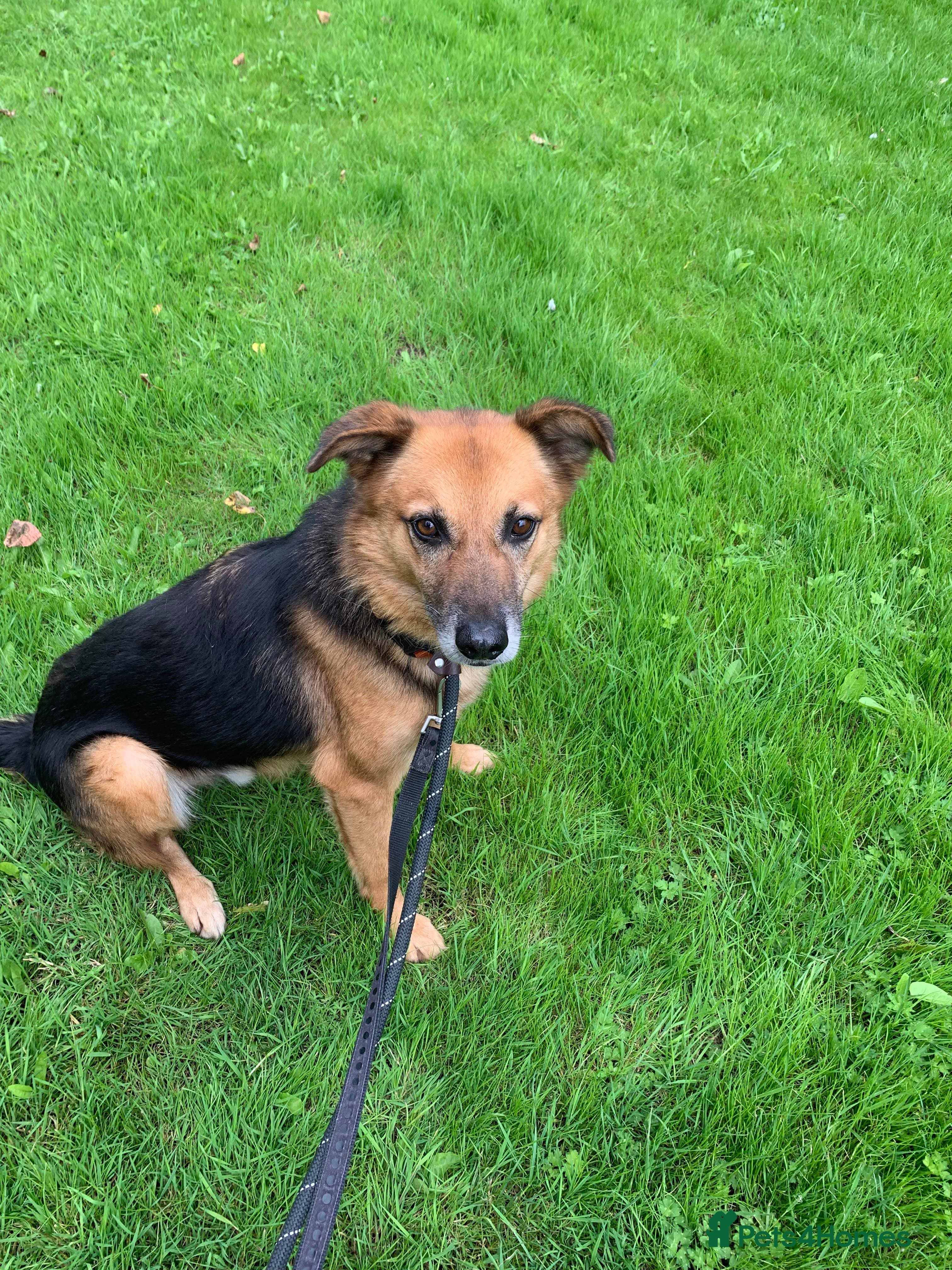 Meet Star, currently residing in Cheshire photo 12