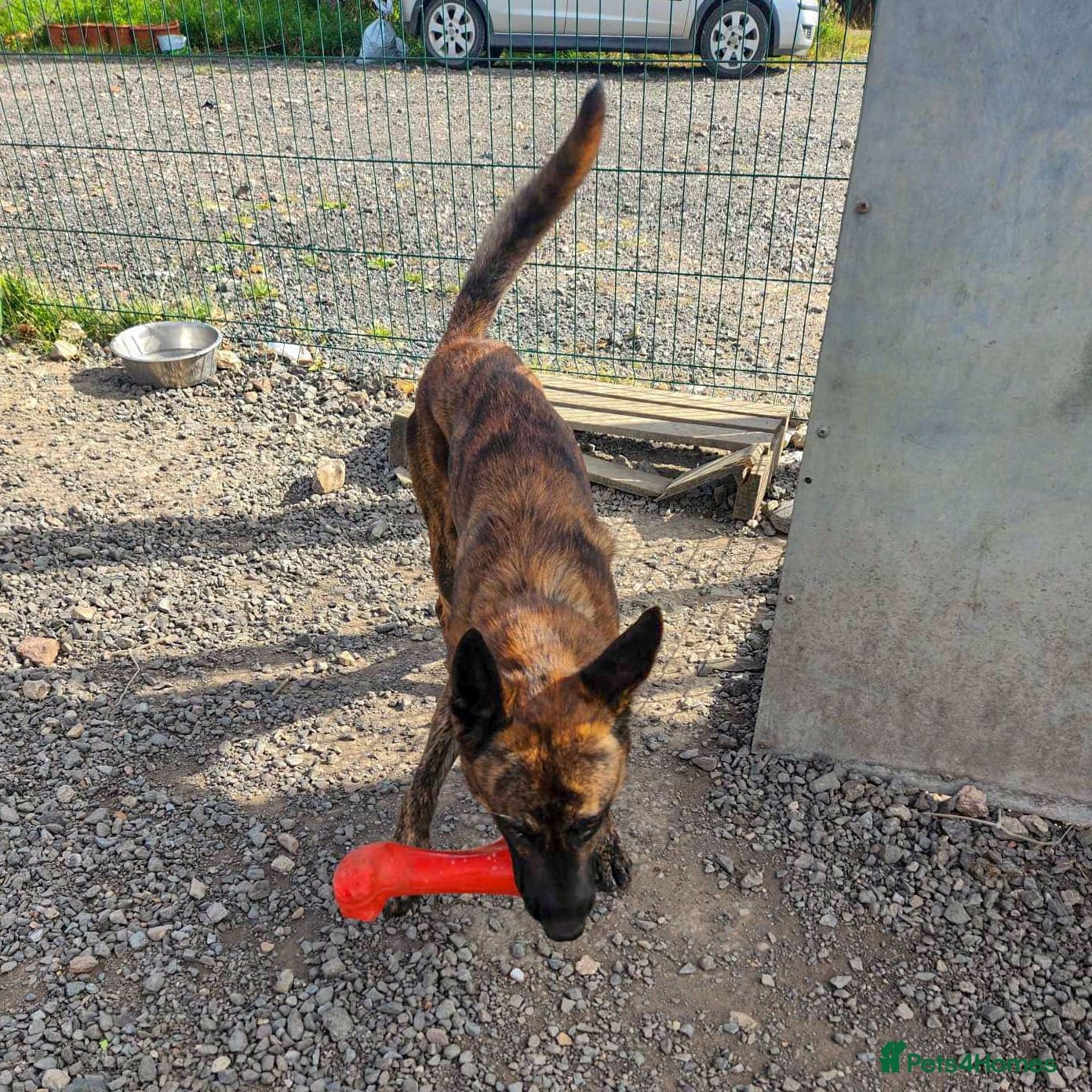 Beautiful buzz photo 10