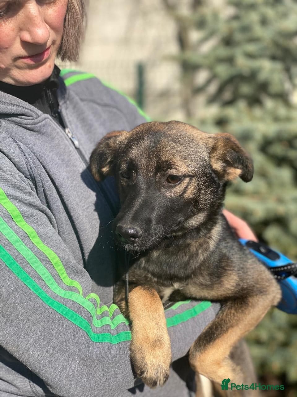 ️🐶 kuba photo 15