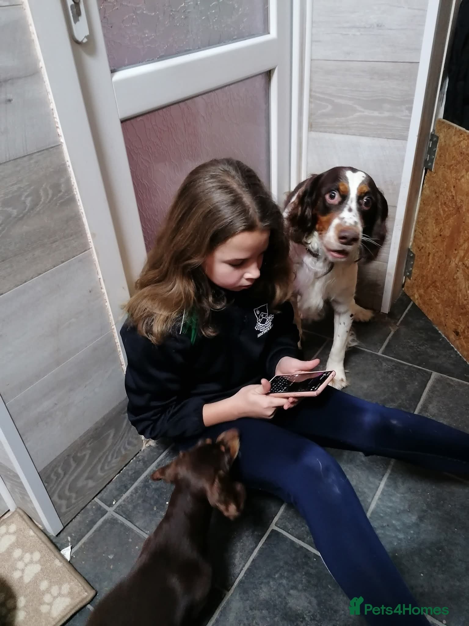 Tommy💙all heart, all energy, photo 13