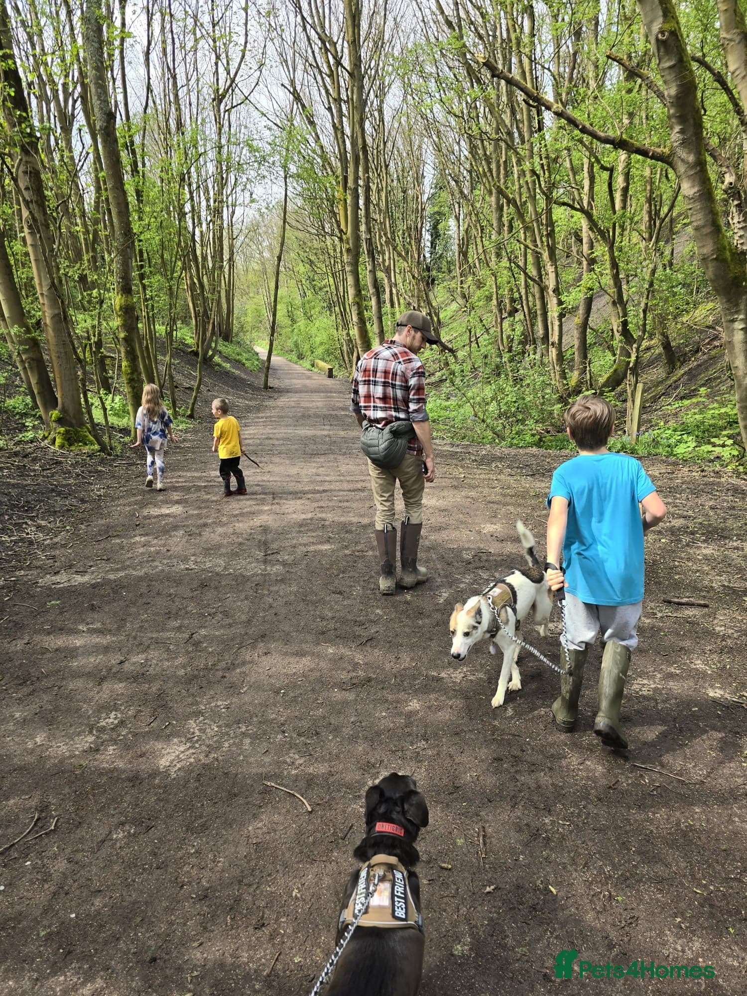 ️🐶 bela photo 17