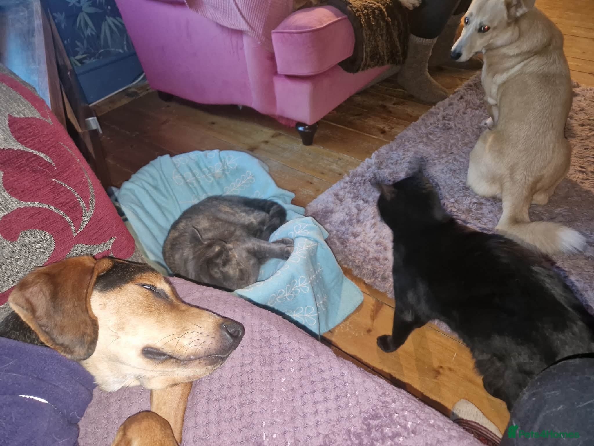 Asterios (aka Terry) photo 2