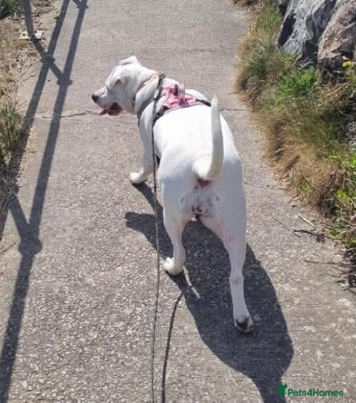 Meet Aria, currently residing in Ormskirk photo 4