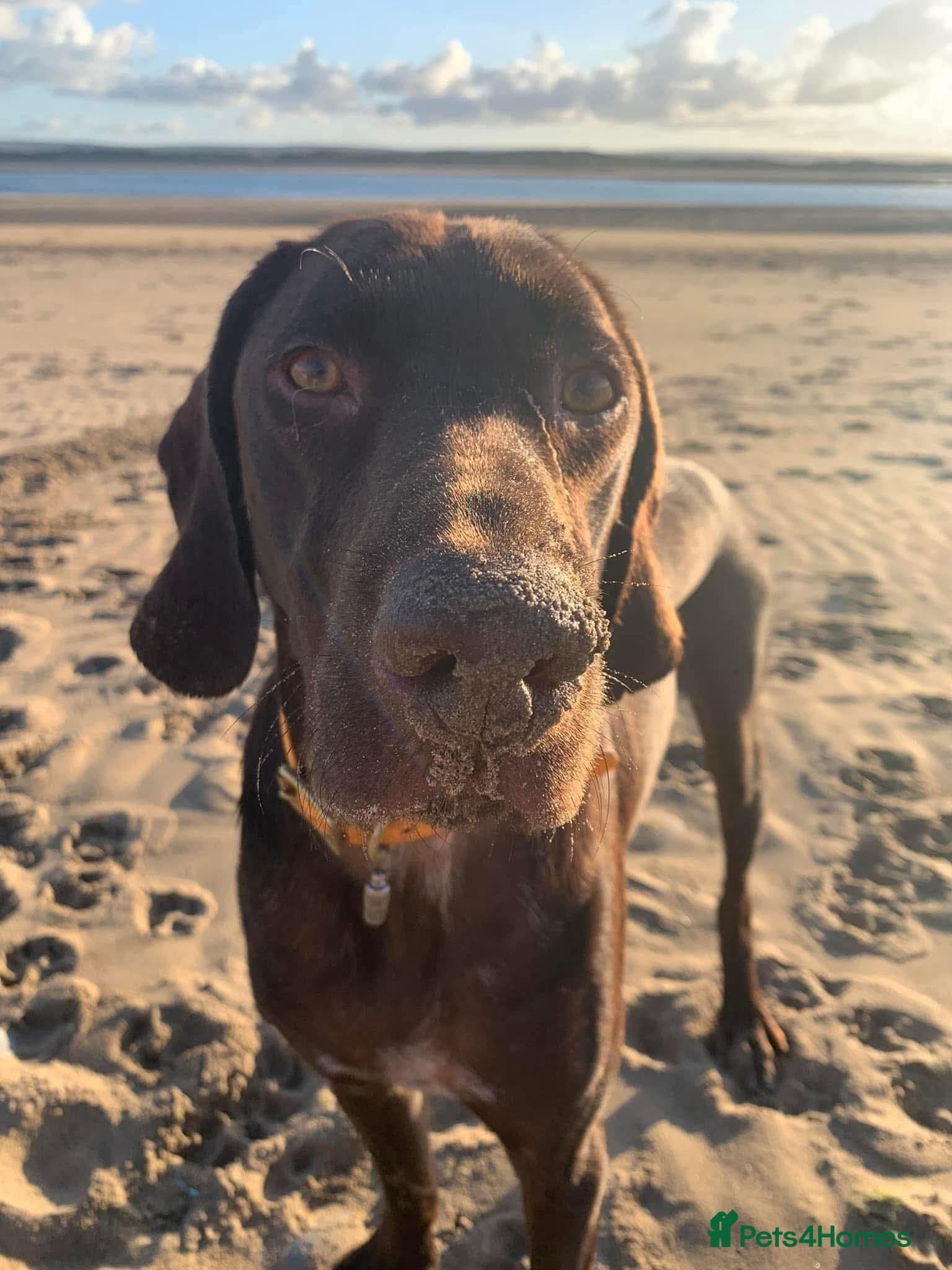 ️ meet wilson photo 10