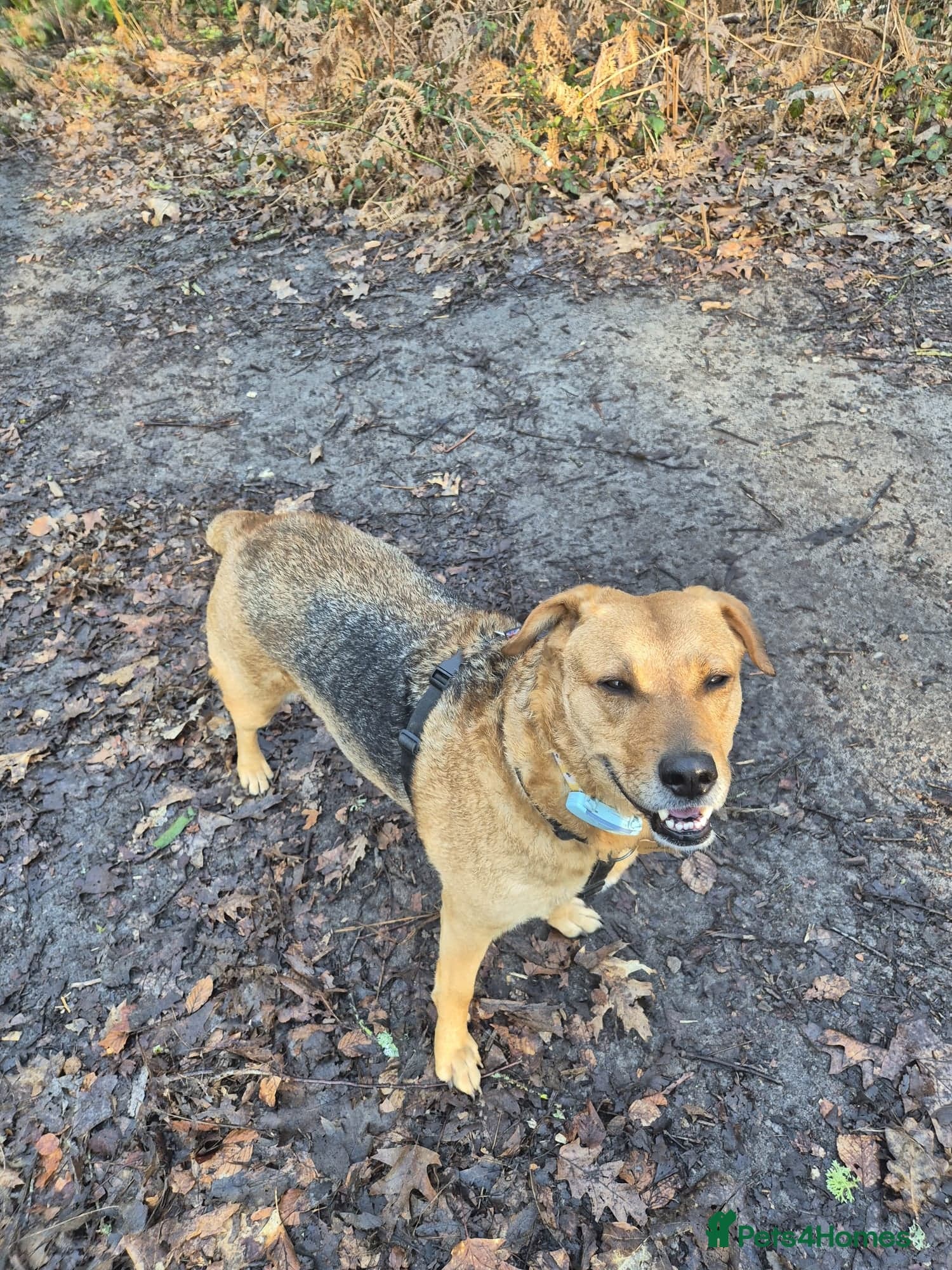 Sweet trinity photo 7