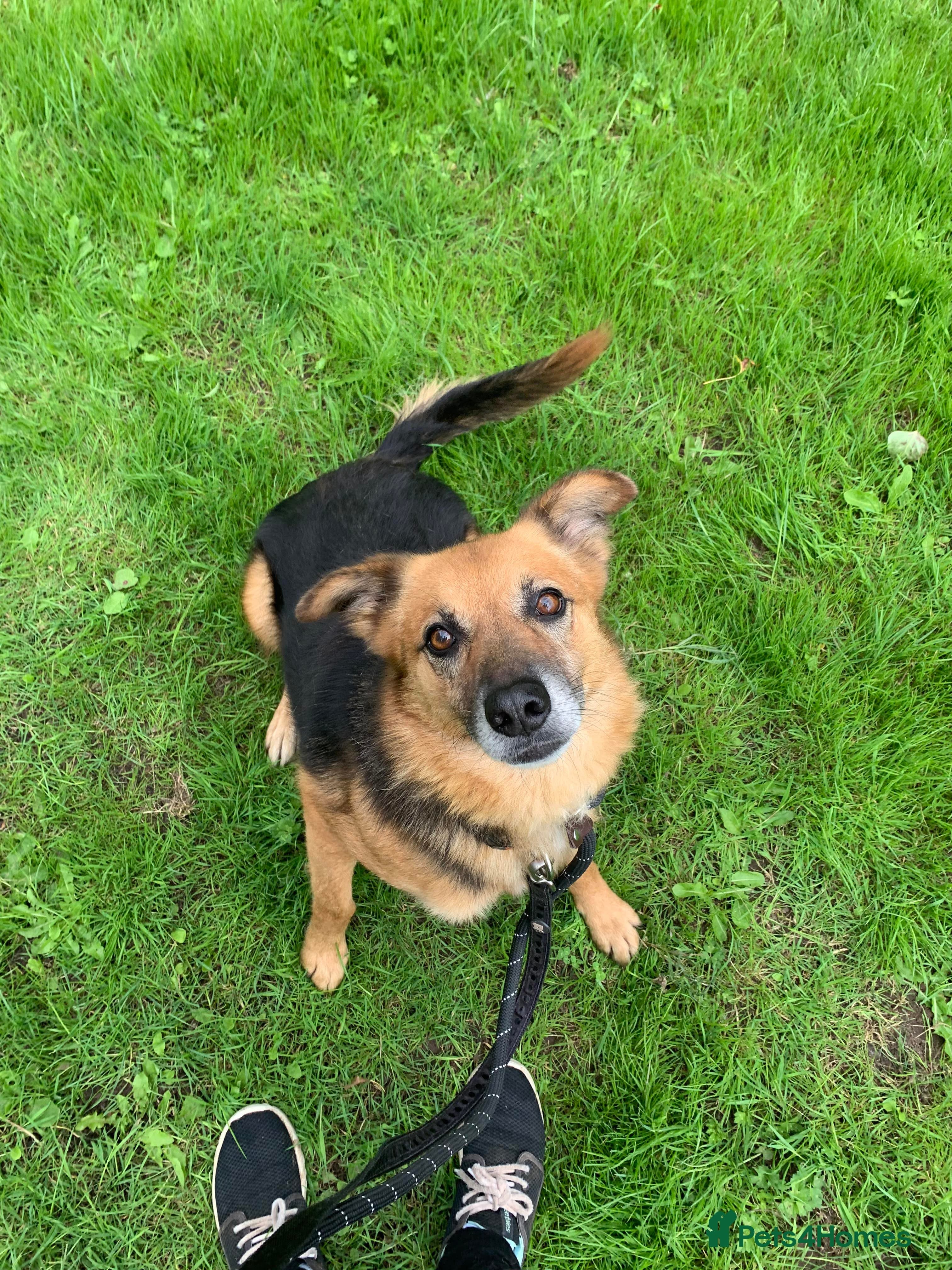 Meet Star, currently residing in Cheshire photo 8