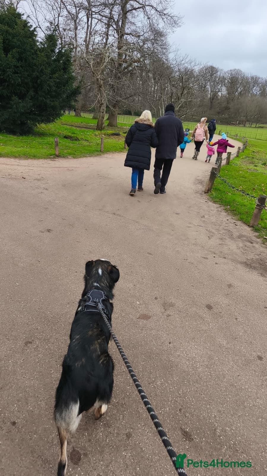 MAX๐ Let Down But Still Loving photo 17