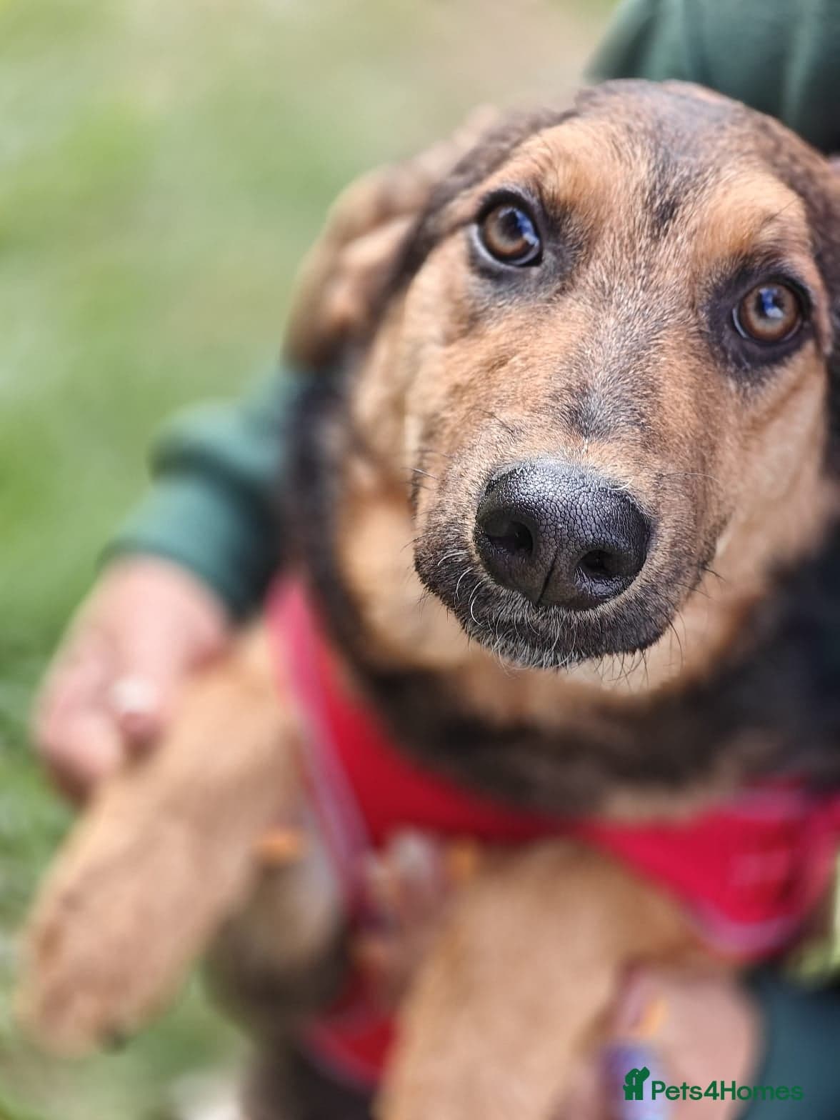 ๏ธ๐ถ yasia photo 8