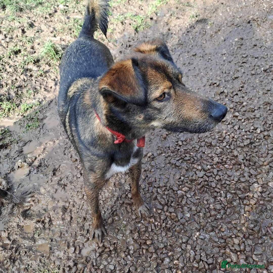 Meet Jake, currently residing in Cheshire photo 14