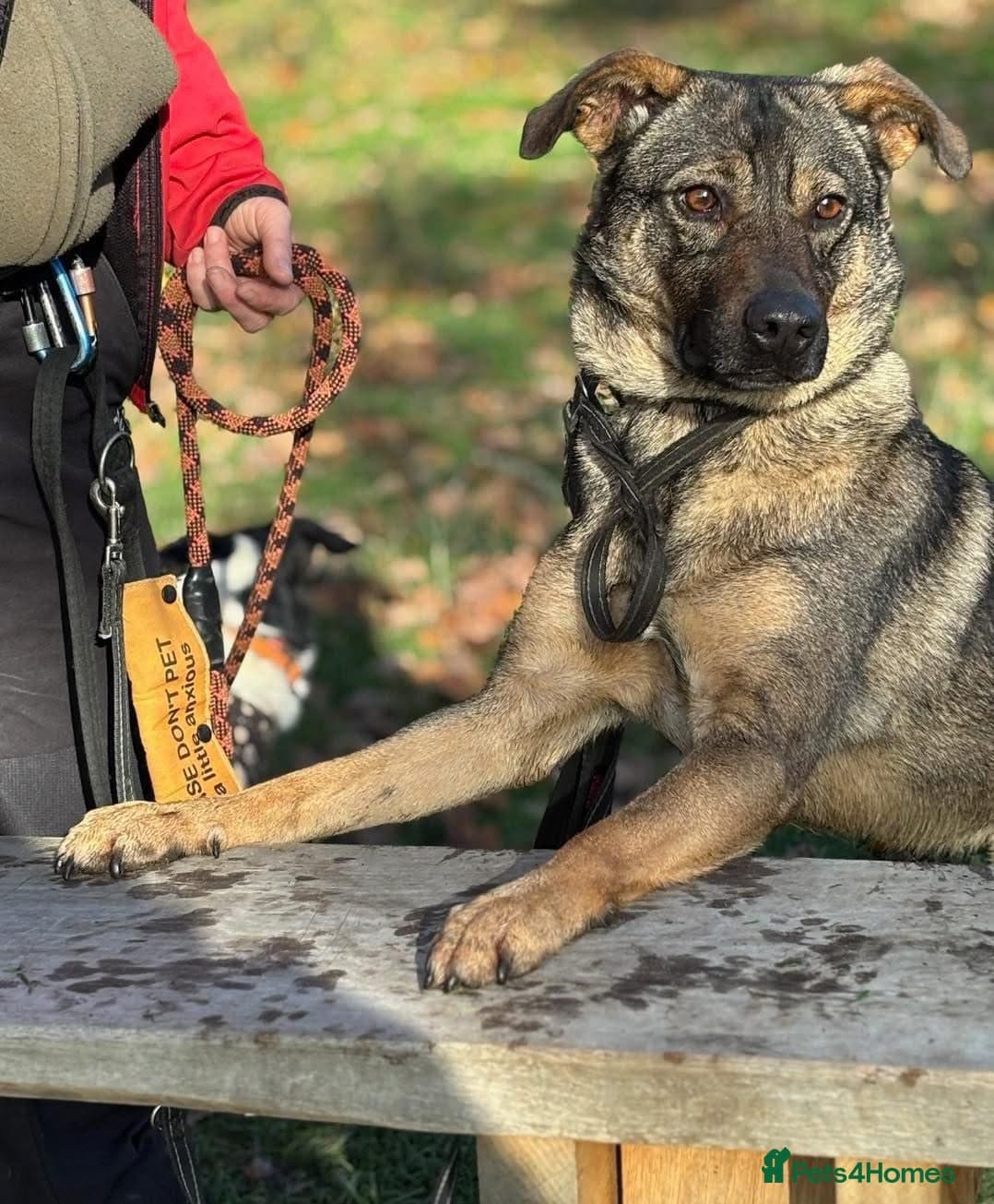 Luna ๐พ๐ photo 19