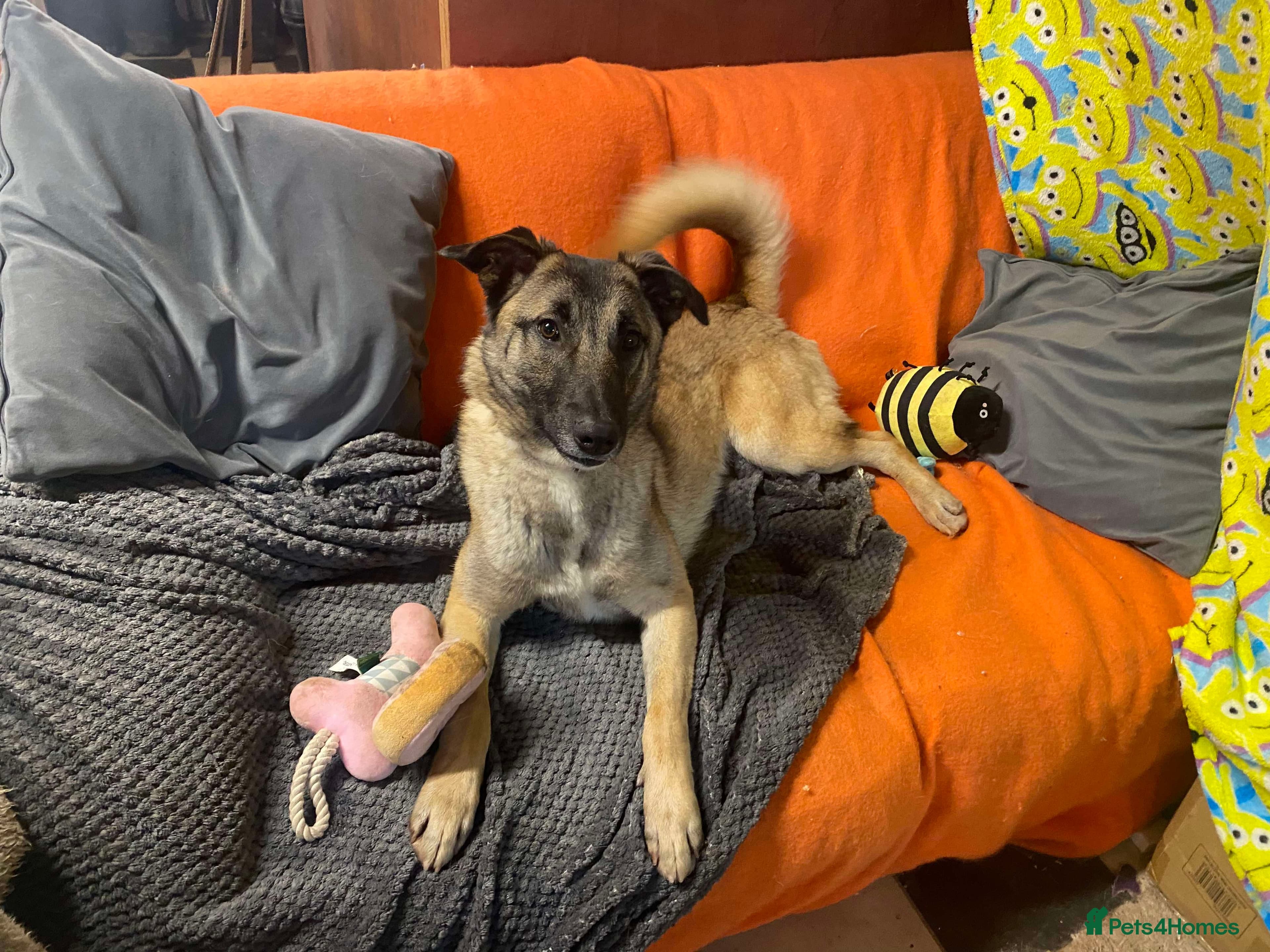 Meet Vera, currently residing in Cheshire photo 8