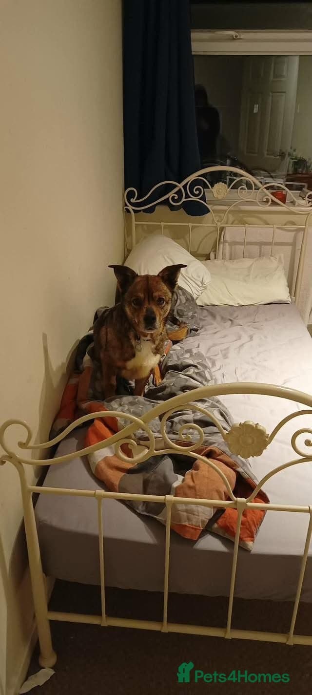 Erica - Norwich Norfolk photo 5