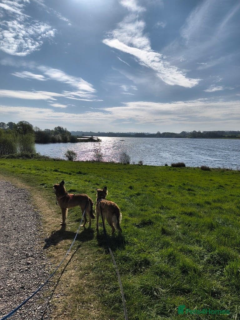 Coffee & robyn photo 7