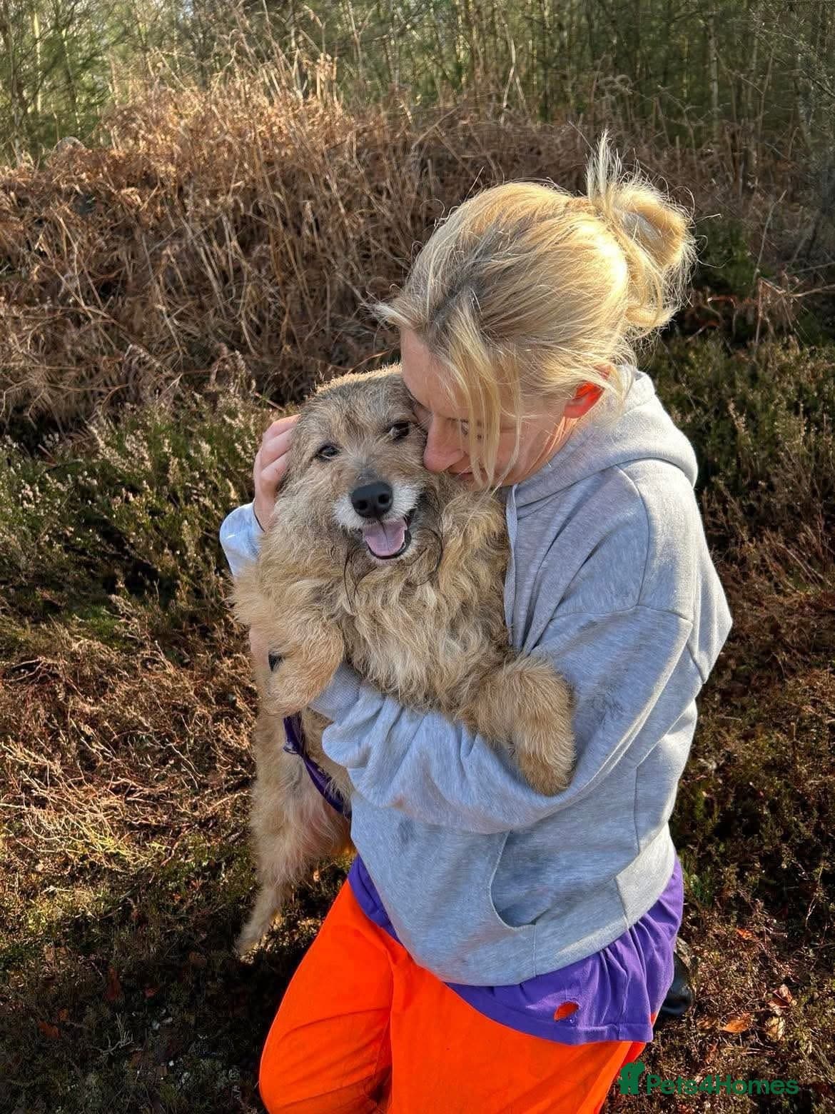 Jack - Watton Norfolk photo 19