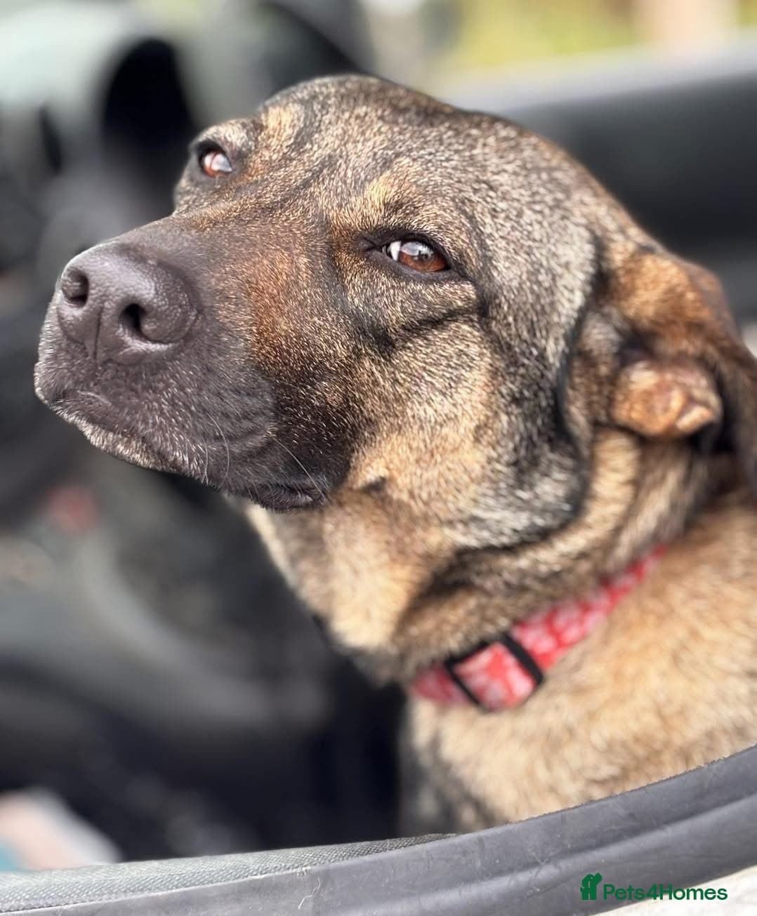 Luna ๐พ๐ photo 17